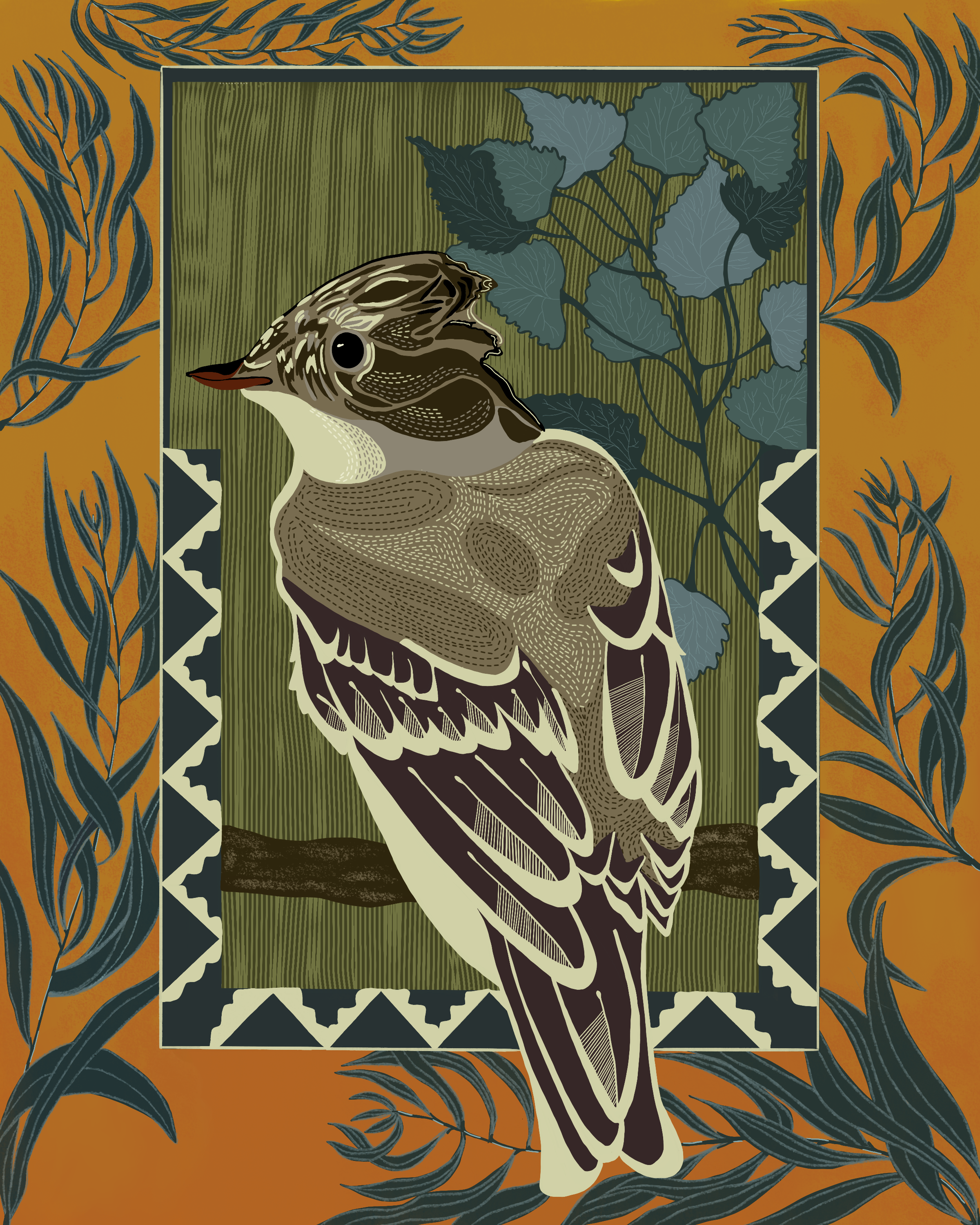 Willow Fly Catcher