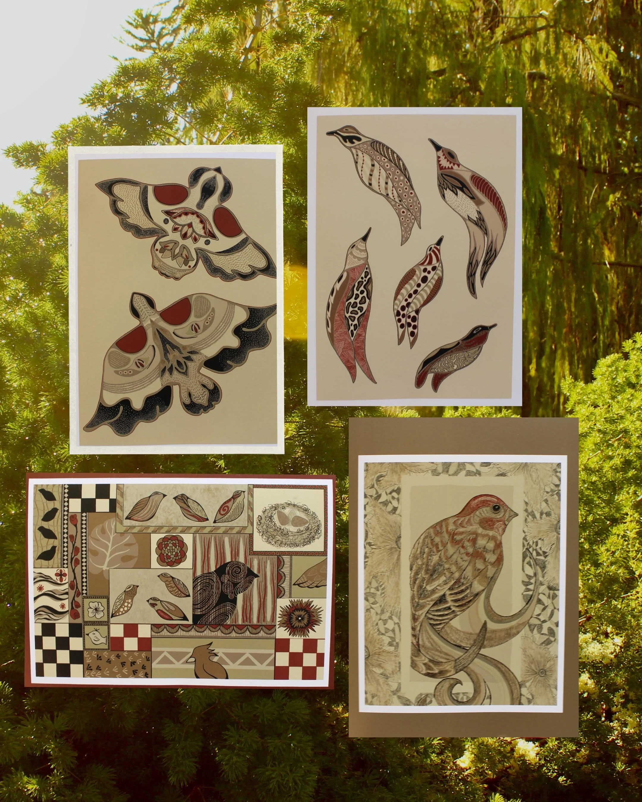 Birds