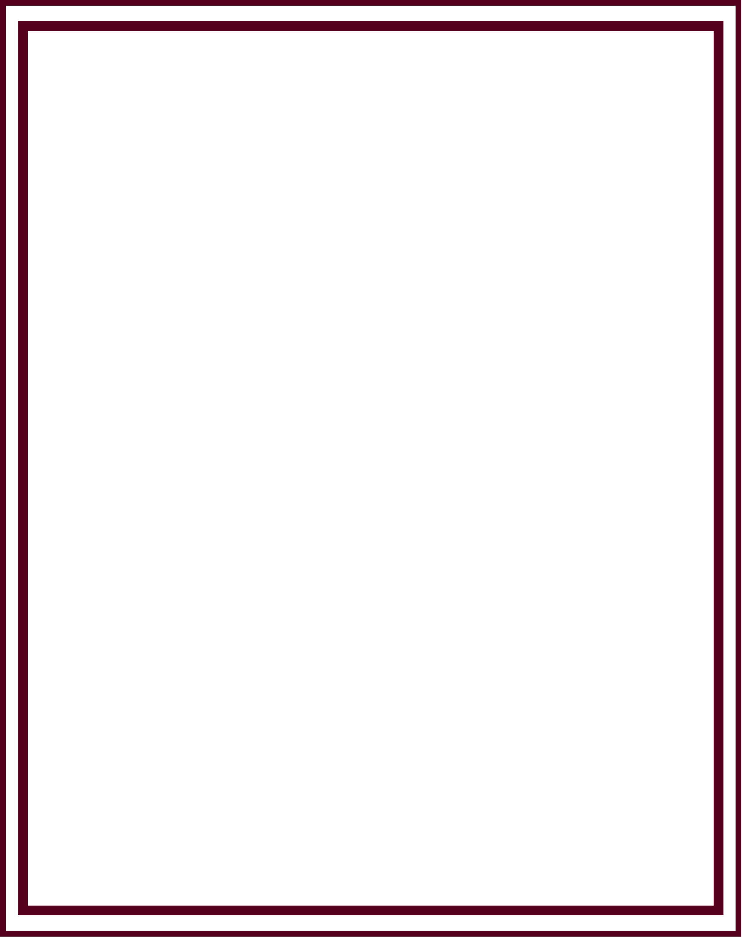 burgundy coloured frame
