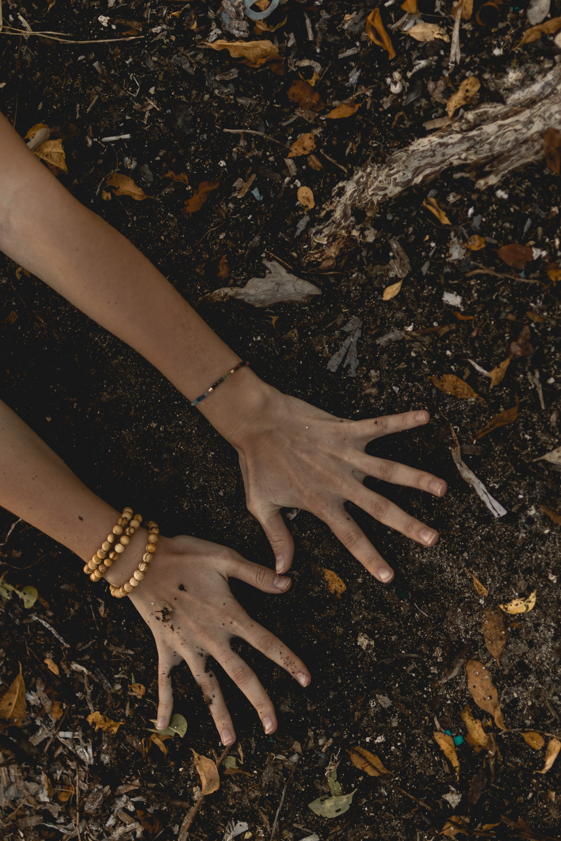 Two hands with bracelets and a ring, touching soil with fallen leaves and a piece of wood nearby.