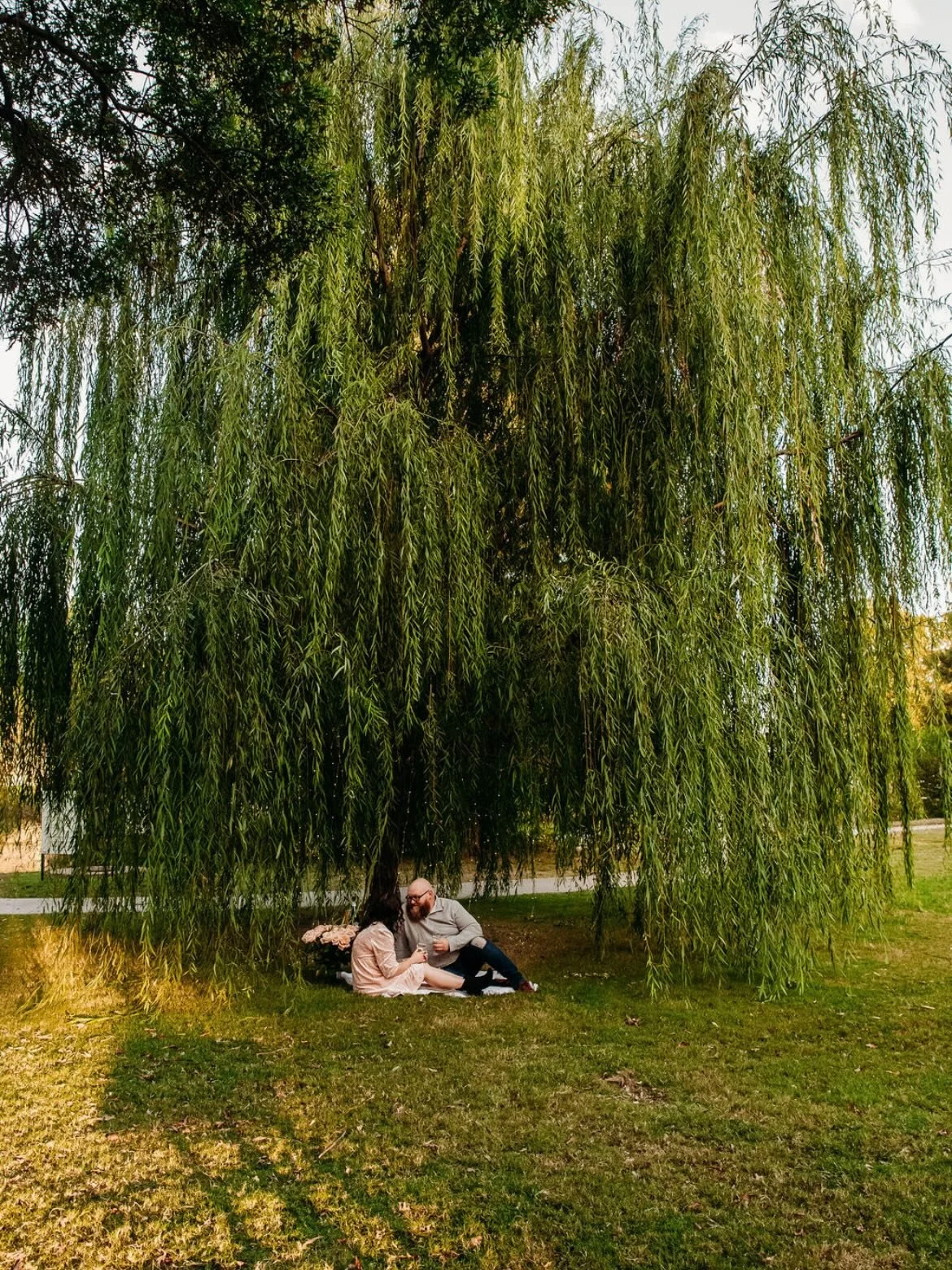 Something special about popping the question under a Willow Tree with twinkling lights, a picnic blanket &amp; a bottle of champagne while they say &ldquo;Yes!&rdquo;✨🥂💍🤍

Looking to pop the question this holiday season? Let us help you in plannin