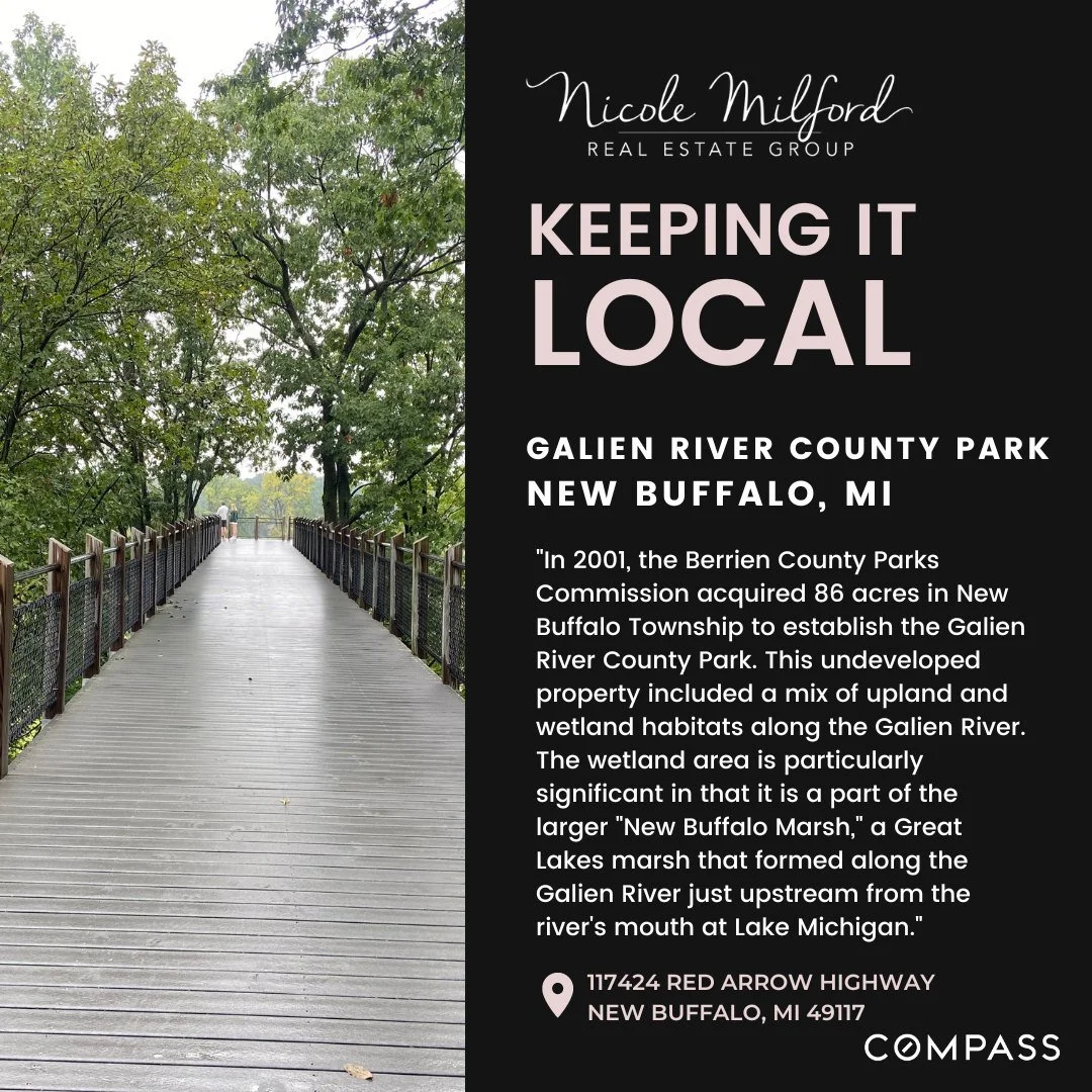Galien River - Living Local NW Indiana - Nicole Milford Real Estate Group.jpeg