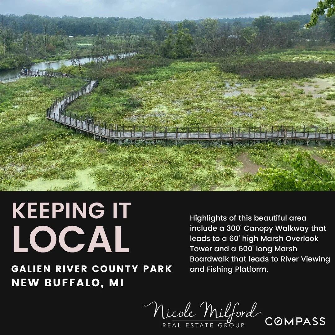 Galien River 2 - Living Local NW Indiana - Nicole Milford Real Estate Group.jpeg