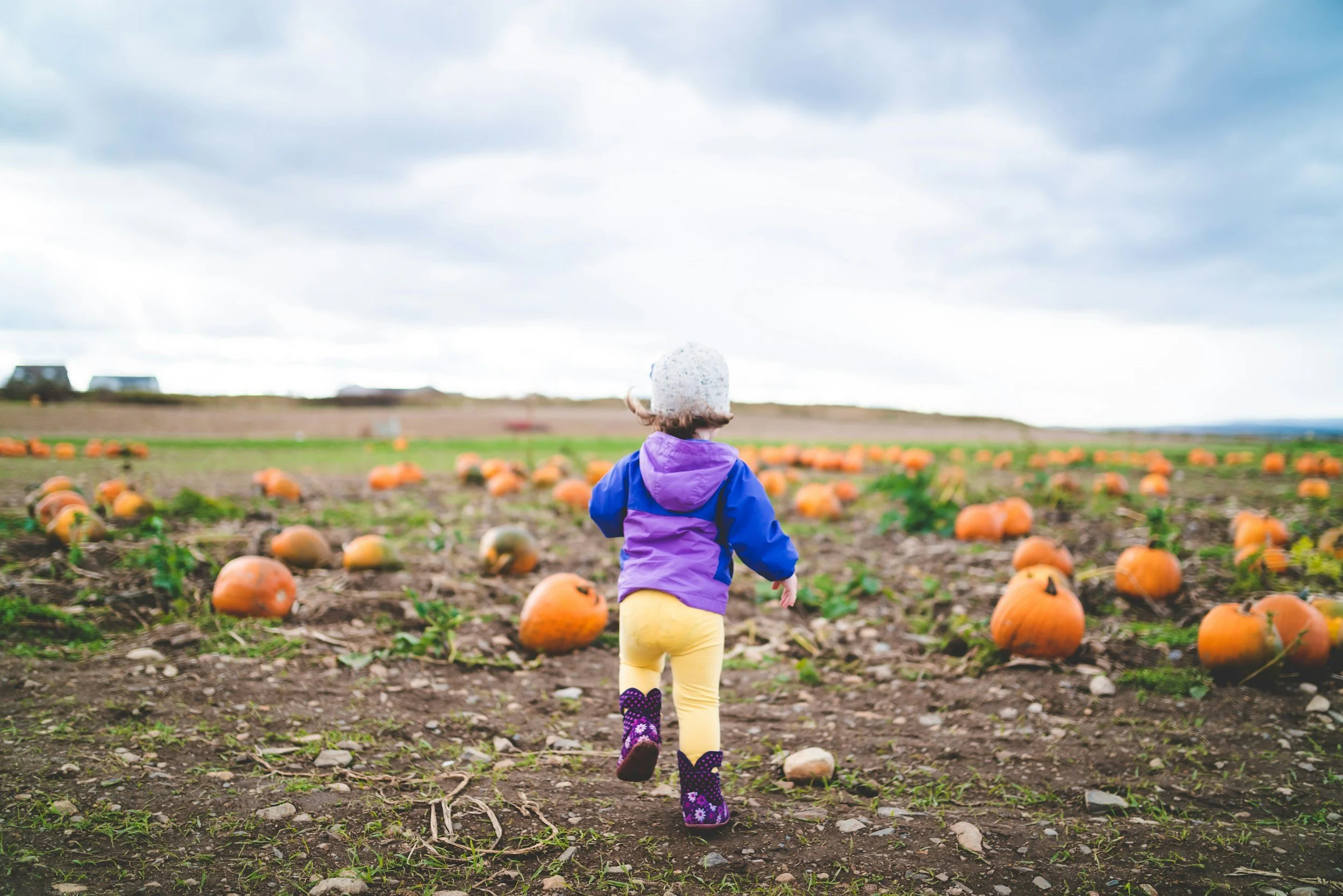 2nd Annual Portraits &amp; Pumpkins Event