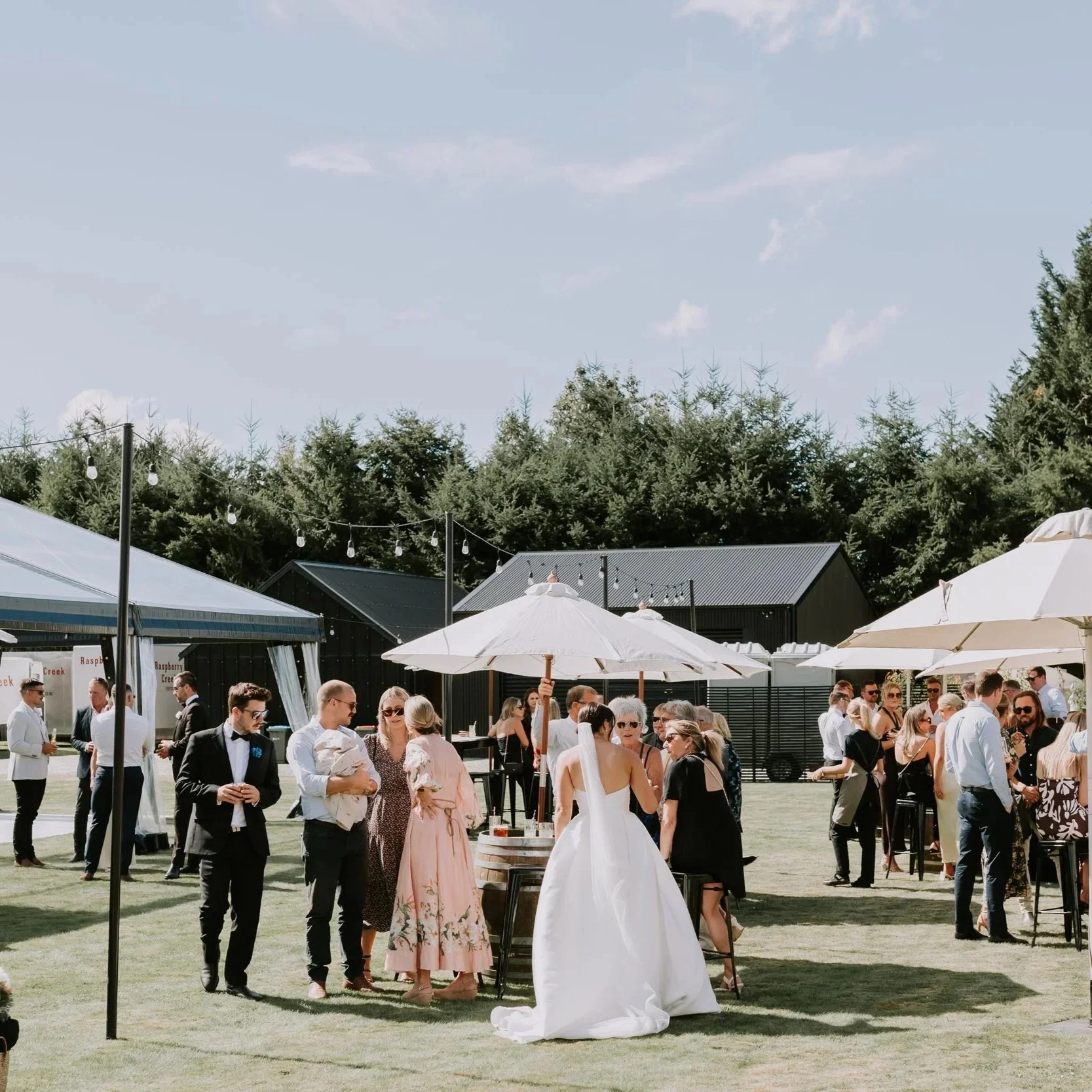 JazandTim-Reception-CharlotteKiriPhotography-55.jpg
