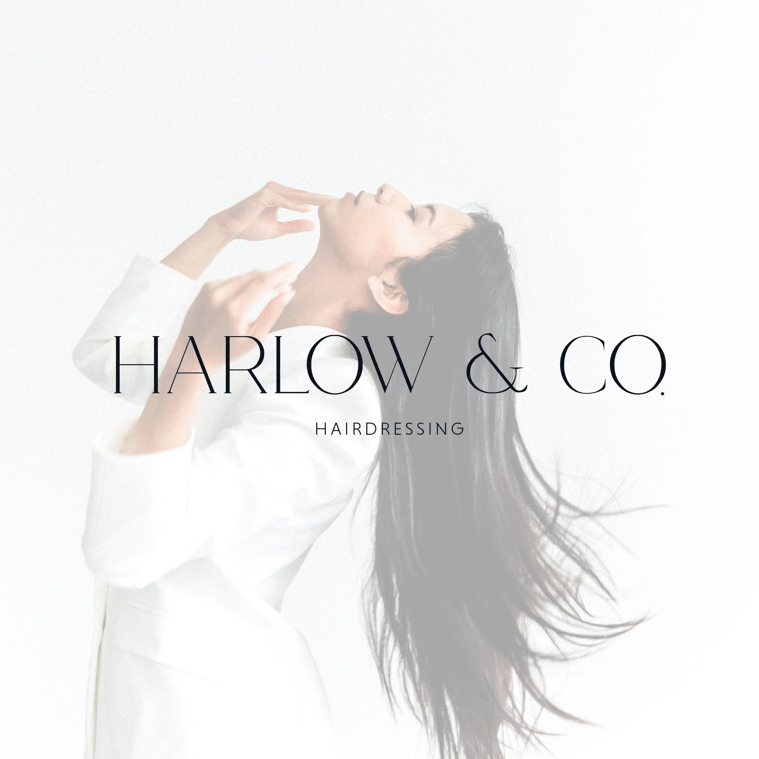 harlow and co photo.jpg