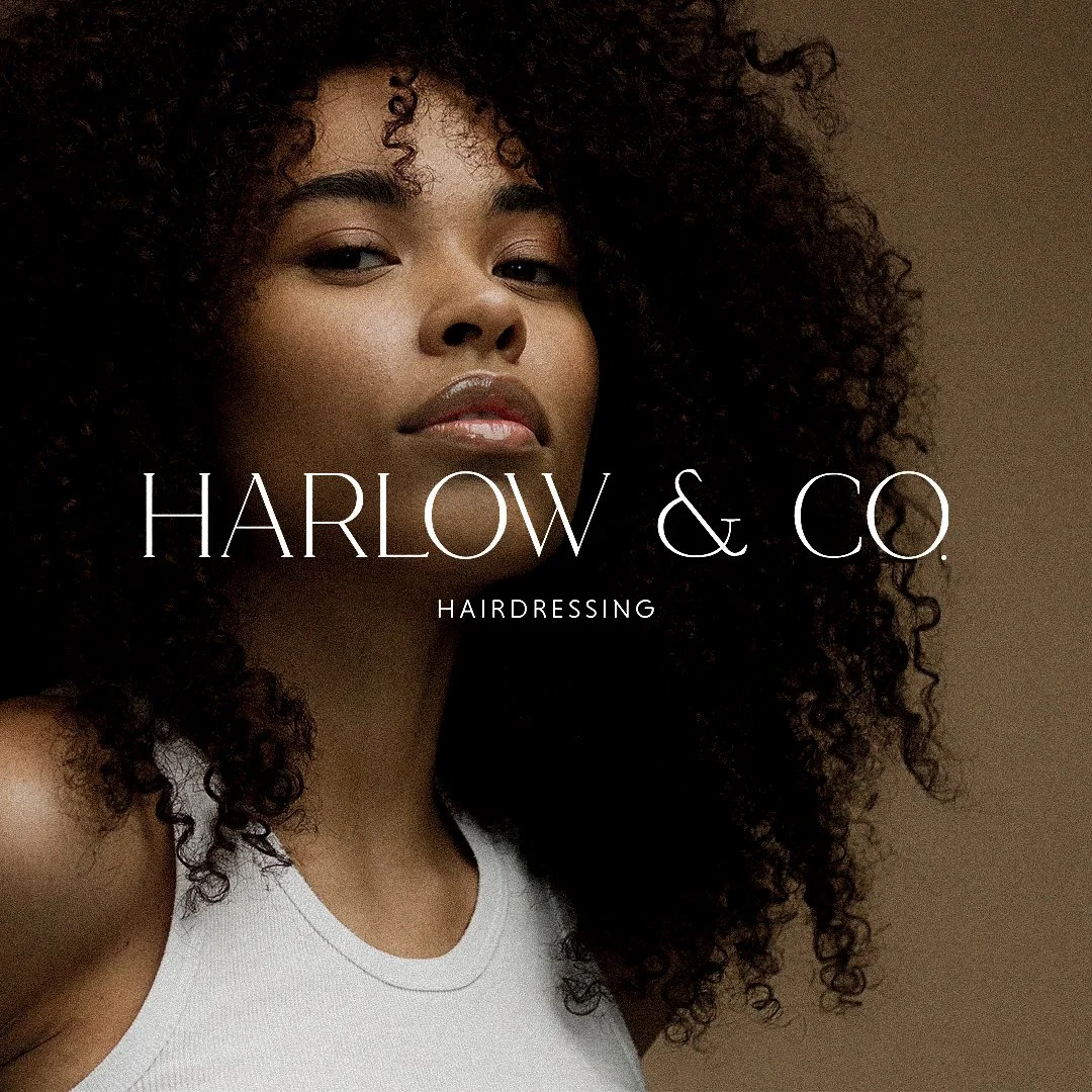 Harlow & Co Carousel Cover.jpg