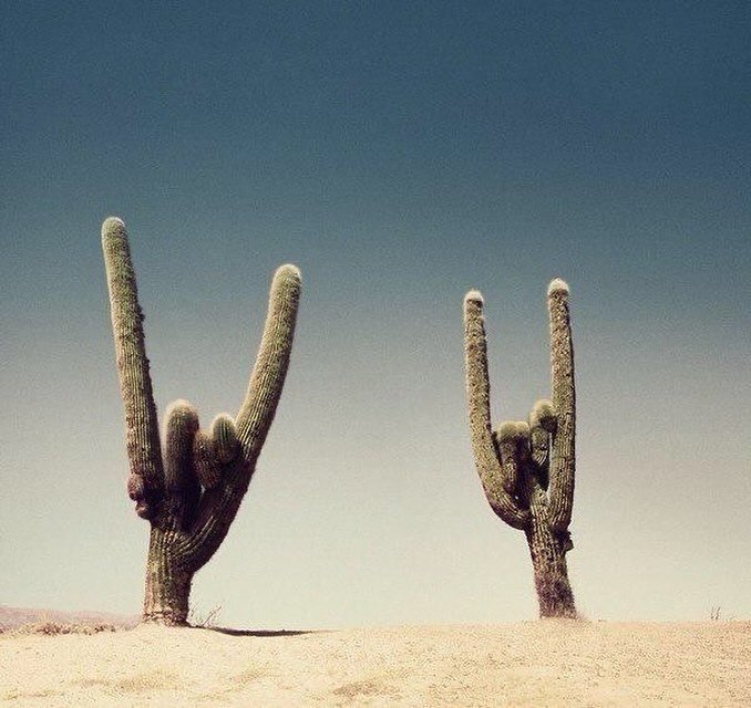 Hey babe, hope your day rocks 🤟🏼 
#western #cowboy #cowgirl #desert #aok #itsallgravybaby