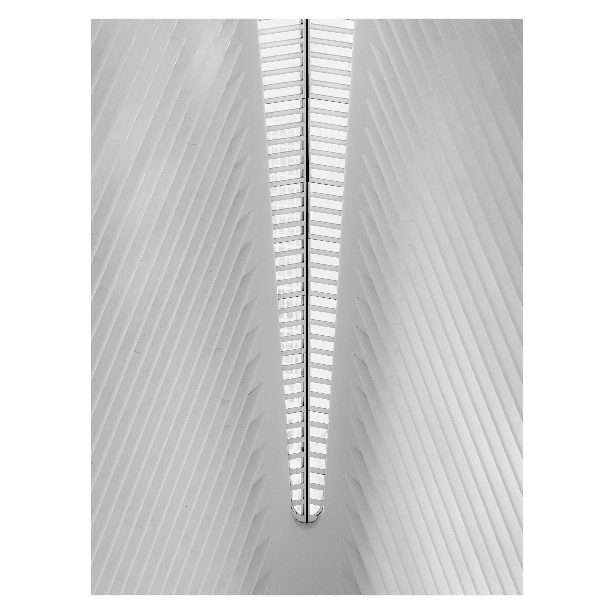 The Oculus.jpg