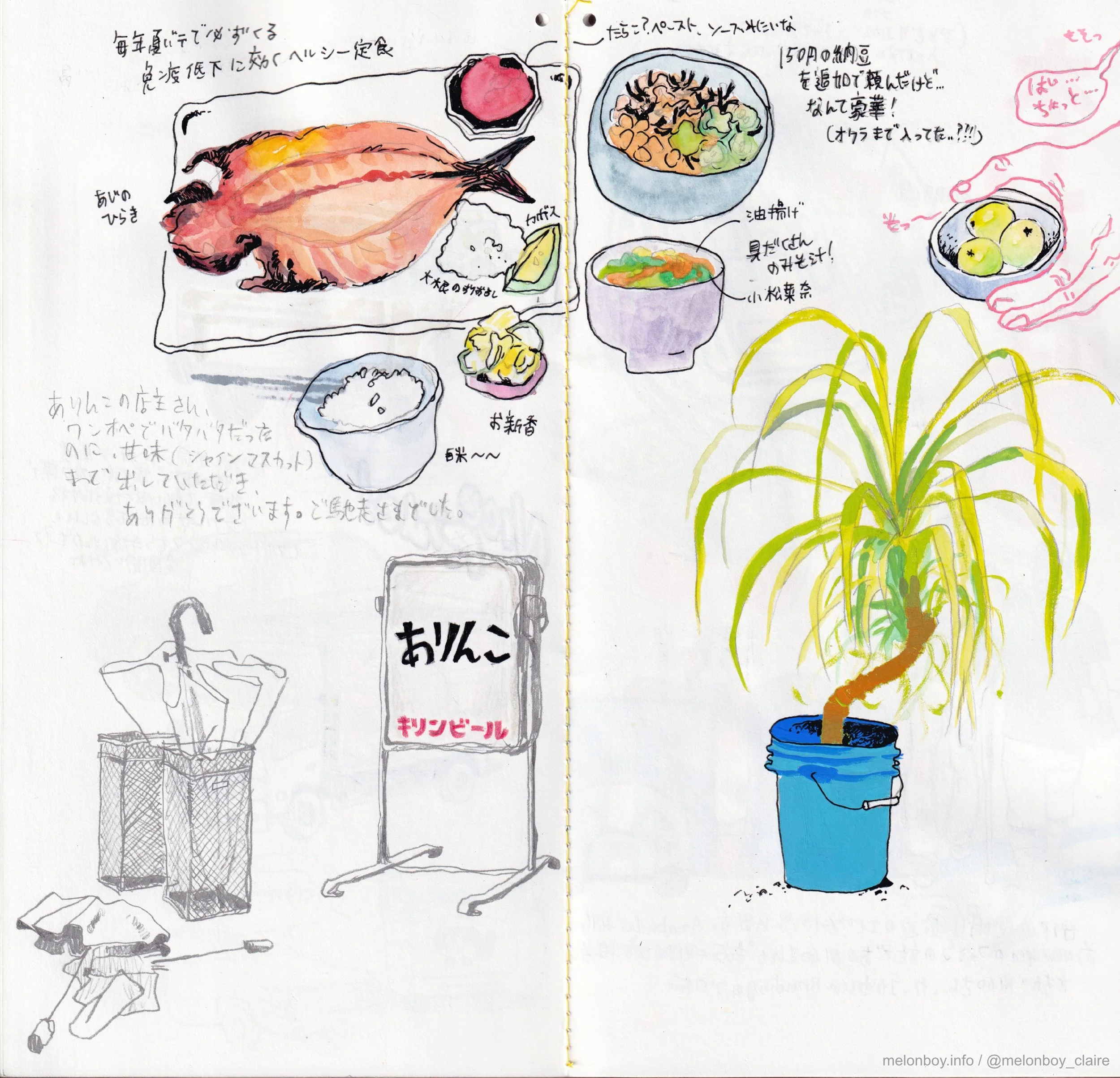 melonboy_notesfromjinny_full_5.jpg