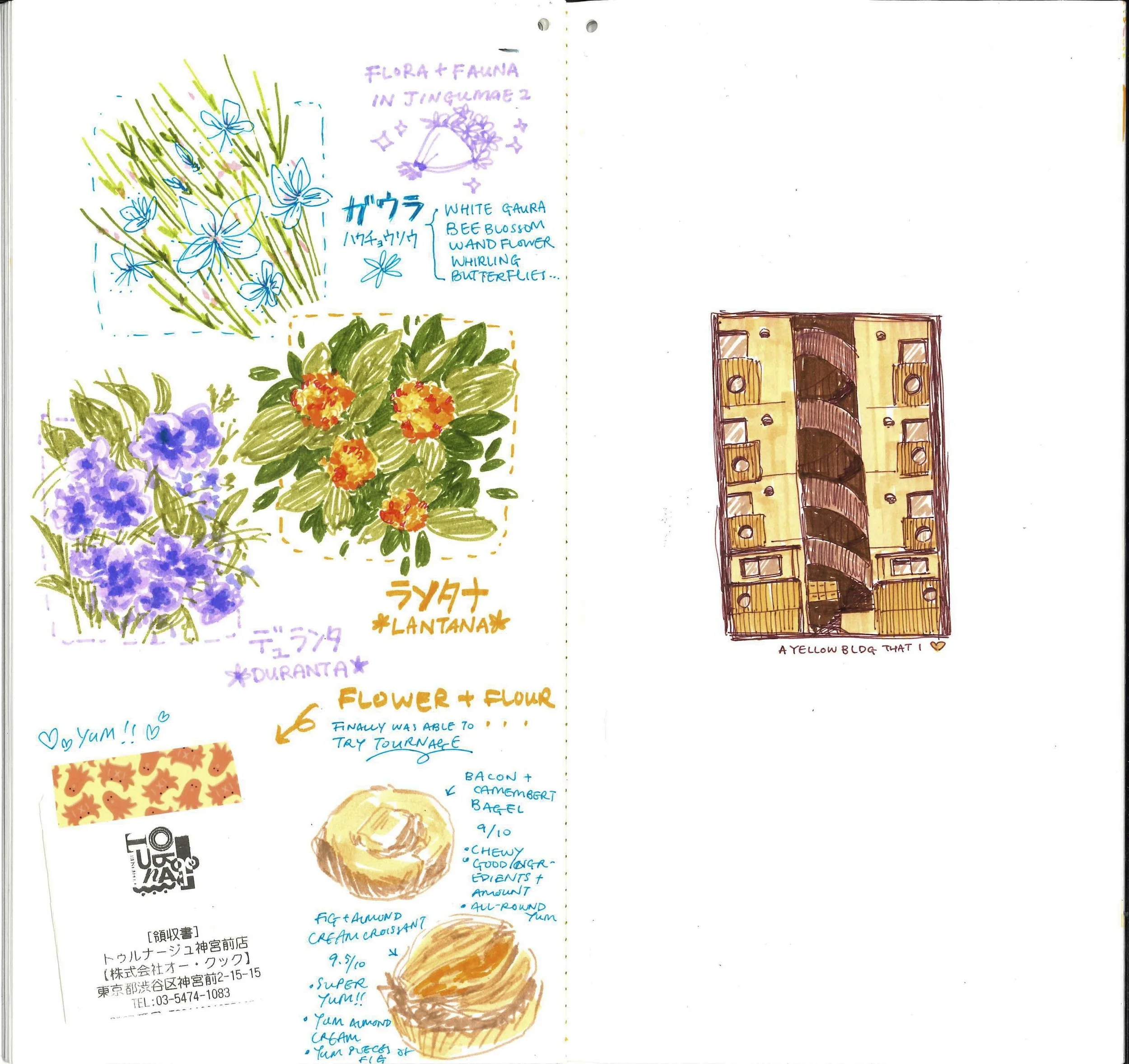 7-Karen Jinny Sketchbook Scan.jpg