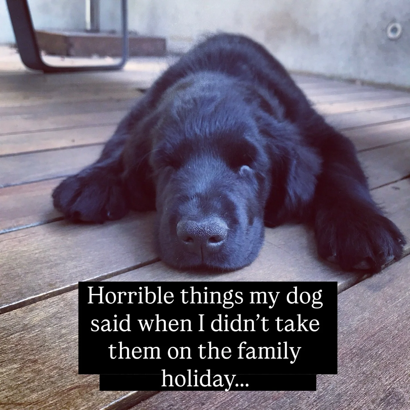 Why would you leave your dog behind on the family holiday?

Dog friendly holidays start at our luxury holiday cottages in Cornwall. Enclosed gardens, a 3 acre dog walking field where they can run off the lead, 20 minutes to the best beaches in Cornwa