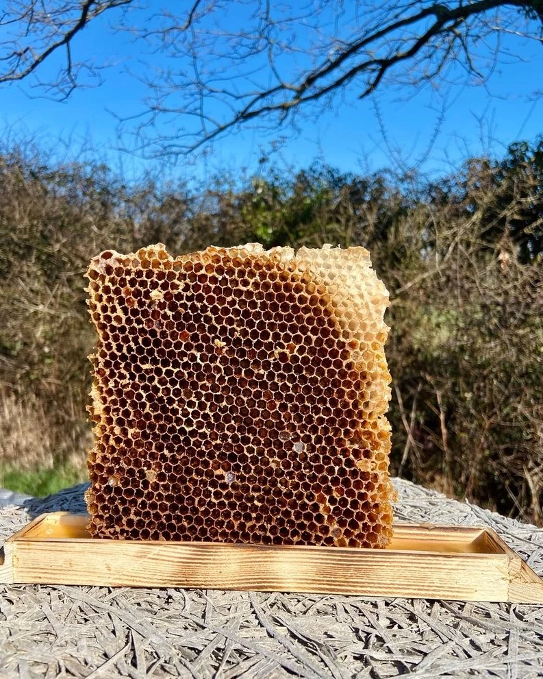 Old honeycomb to lure a new swarm of bees