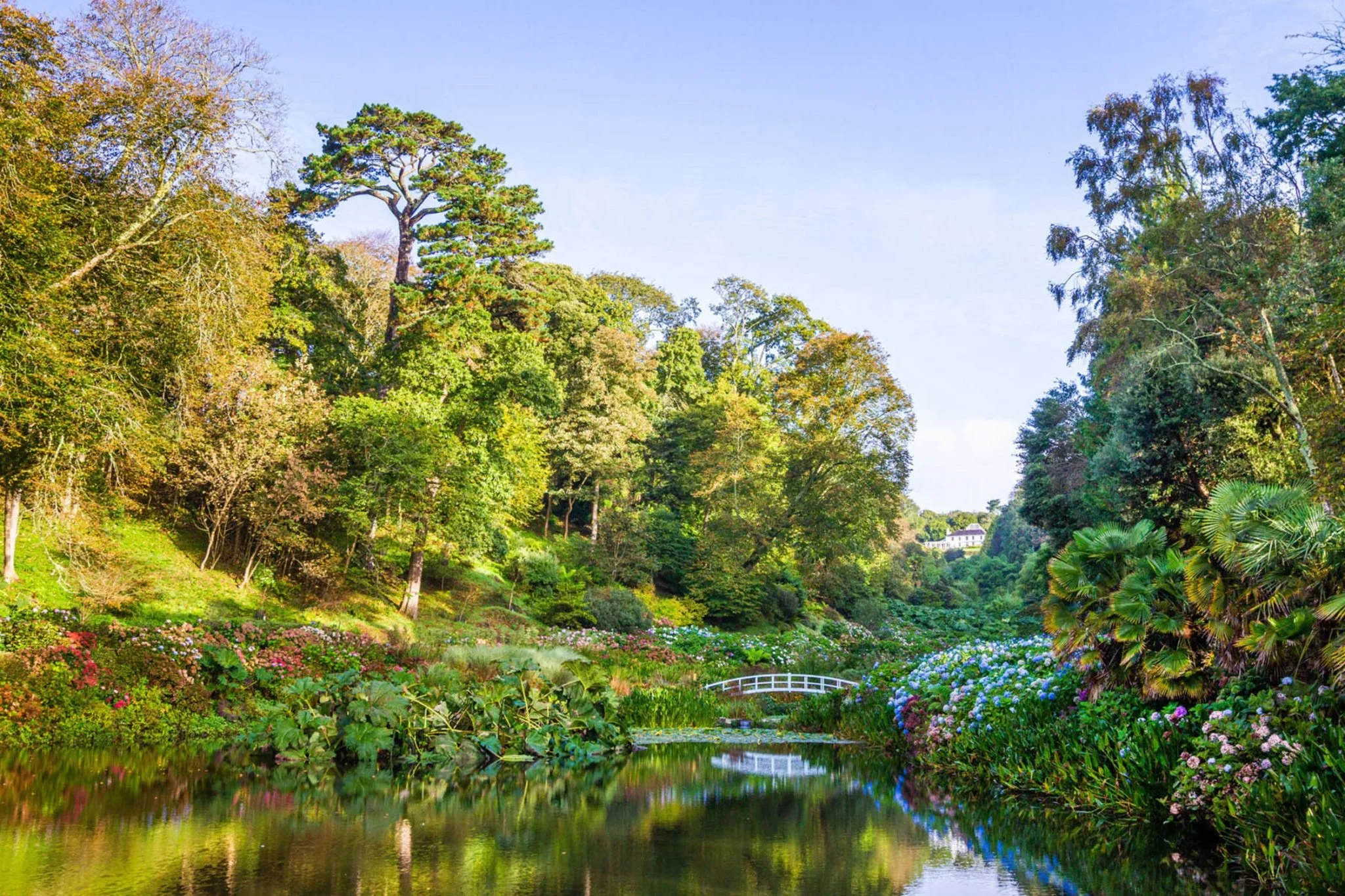 Trebah Gardens