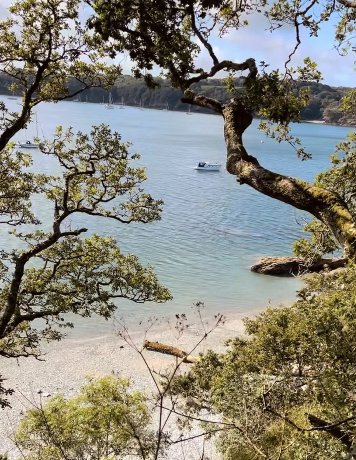 Grebe beach, The Helford River, Cornwall