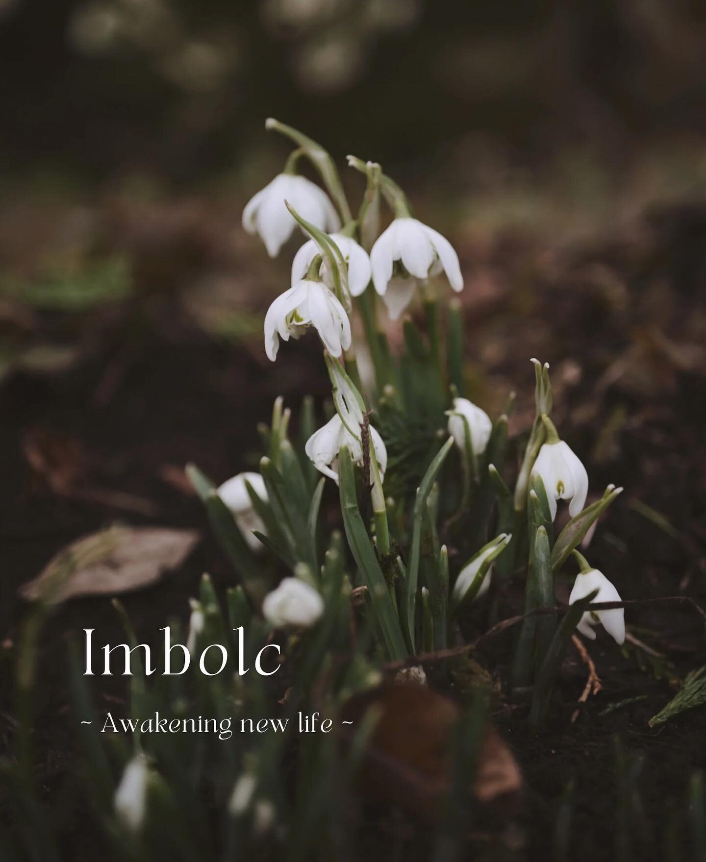 WomanKind Circle - Imbolc
Saturday 3rd February 
4:00 - 6:00 pm

&lsquo;What was sleeping now begins to stir. What was dormant now begins to awake.&rsquo;

As we embrace the energy of slow return, I invite you to my first WomanKind Circle of the year