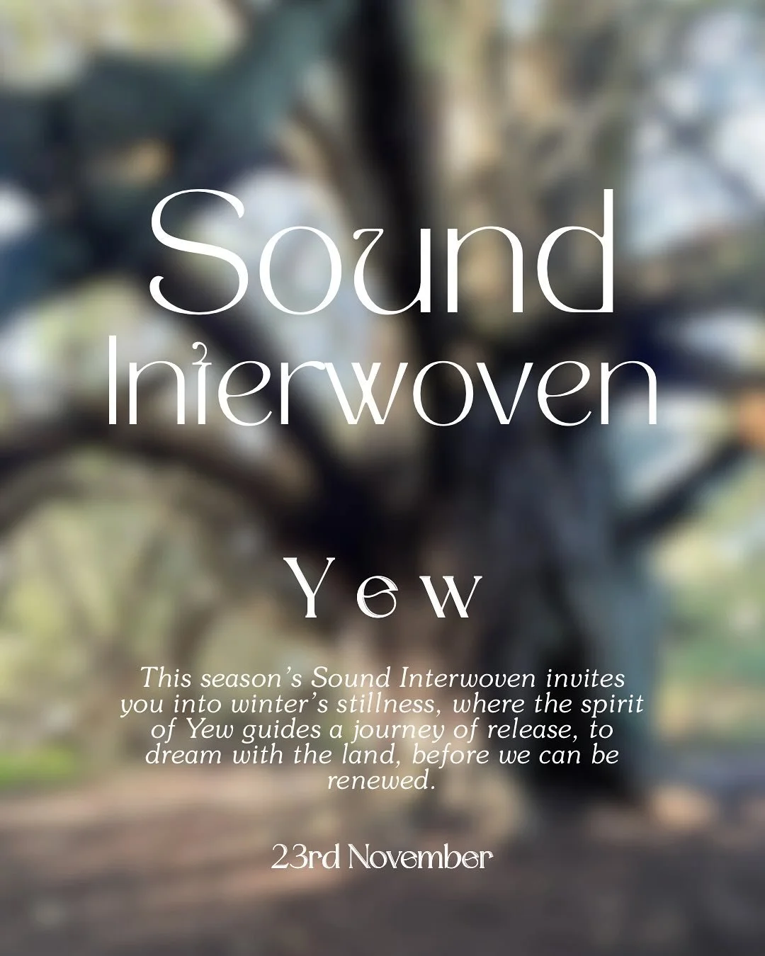 𝐀 𝐒𝐨𝐮𝐧𝐝 𝐉𝐨𝐮𝐫𝐧𝐞𝐲 𝐰𝐢𝐭𝐡 𝐘𝐞𝐰

As we transition into the winter months, nature teaches us to slow; she invites us into still, quiet reflection. Trees release their final leaves, and fungi quietly transform what has fallen, renewing the