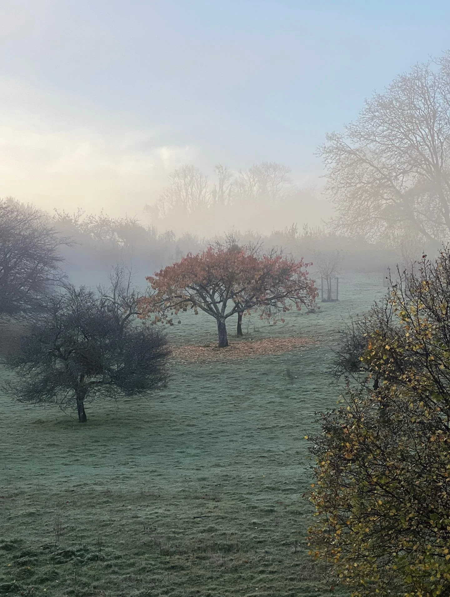 𝐆𝐚𝐭𝐡𝐞𝐫𝐢𝐧𝐠 𝐭𝐡𝐞 𝐋𝐚𝐬𝐭 𝐋𝐢𝐠𝐡𝐭 ~ Autumn&rsquo;s Fade 

To the turning tides, loosening, undoing
S l o w i n g
A whisper in amber, a shiver through baring limbs.
The earth exhales, a long sigh, surrendering.
Shadows stretch long, the li