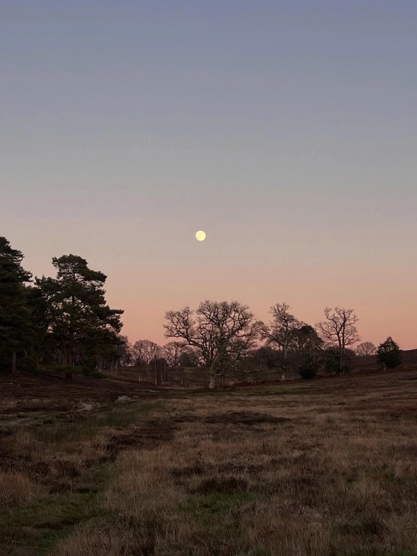 𝐆𝐞𝐧𝐭𝐥𝐞 𝐉𝐚𝐧𝐮𝐚𝐫𝐲

These clear, bright skies certainly carry a feeling of fresh beginnings as we turn a new page of the year. 

And yet, while the calendar year resets, our seasonal bodies know we are still in the heart of winter. 

If you 