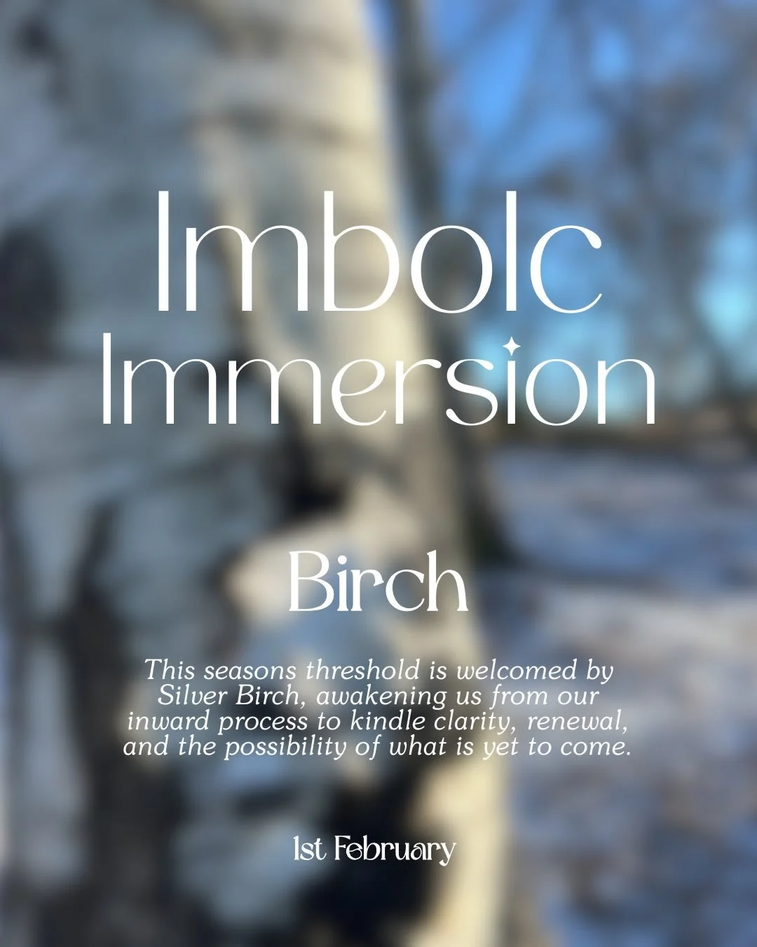 𝐈𝐦𝐛𝐨𝐥𝐜 𝐈𝐦𝐦𝐞𝐫𝐬𝐢𝐨𝐧 &middot; 𝐁𝐢𝐫𝐜𝐡

With the bright days that opened this year, the Silver Birch has shone out&mdash;its luminous limbs catching the light. It&rsquo;s easy to see how it earned its name, and place within the Celtic Tr