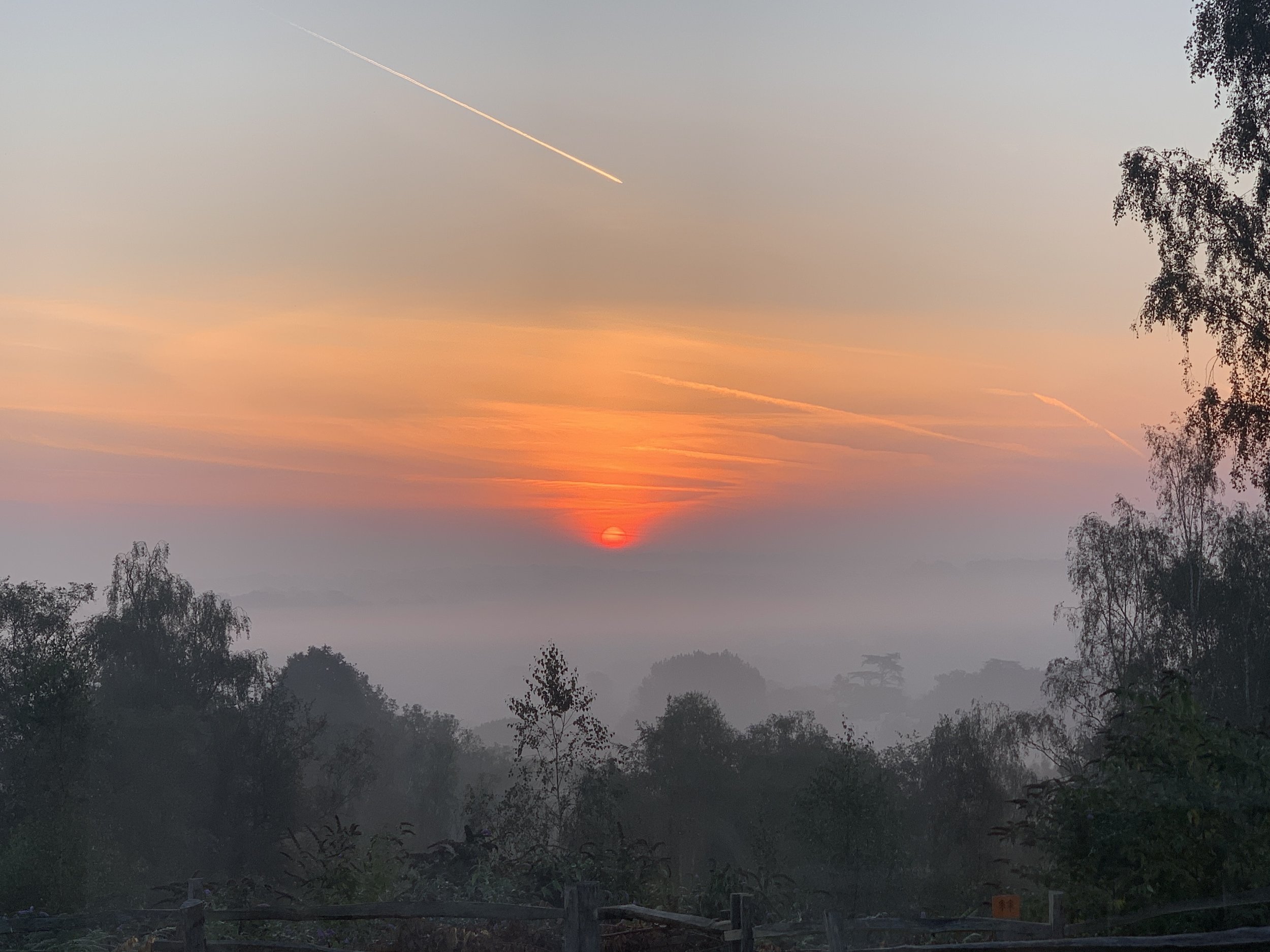 Sunrise Soundscape