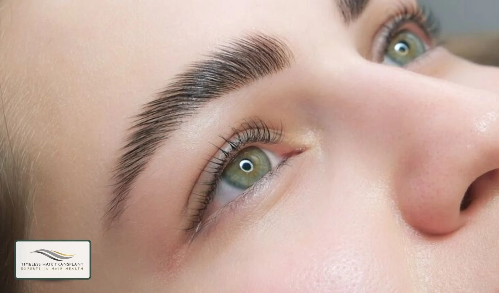 Do Eyebrow Transplants Keep Growing