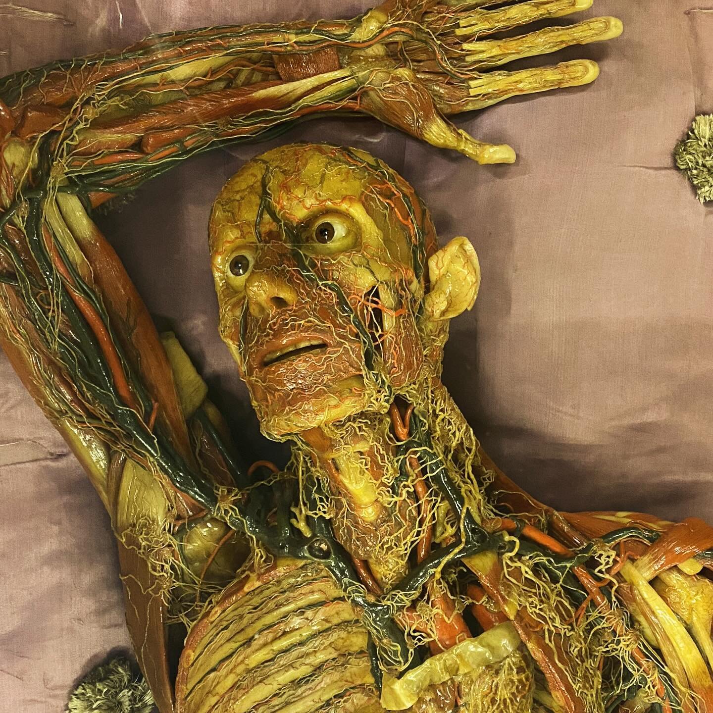 Join us into the catacombs of La Specola anatomical collection, the largest anatomical wax collection on the world. 

These models show not only incredible craftsmanship but one of the last moments where art and science were intertwined. 

From an ar