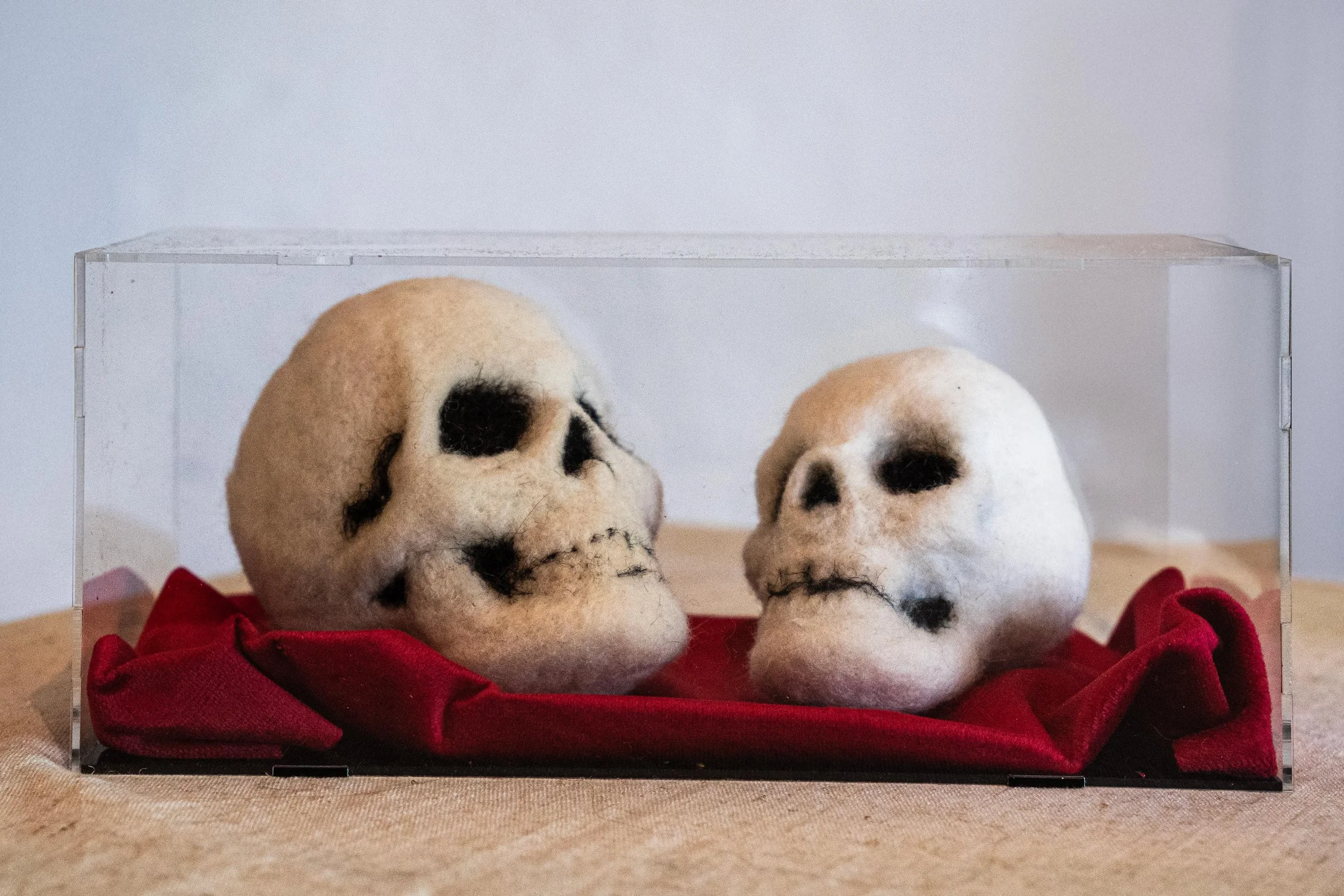 The Cranium Archive – Artwork Series 