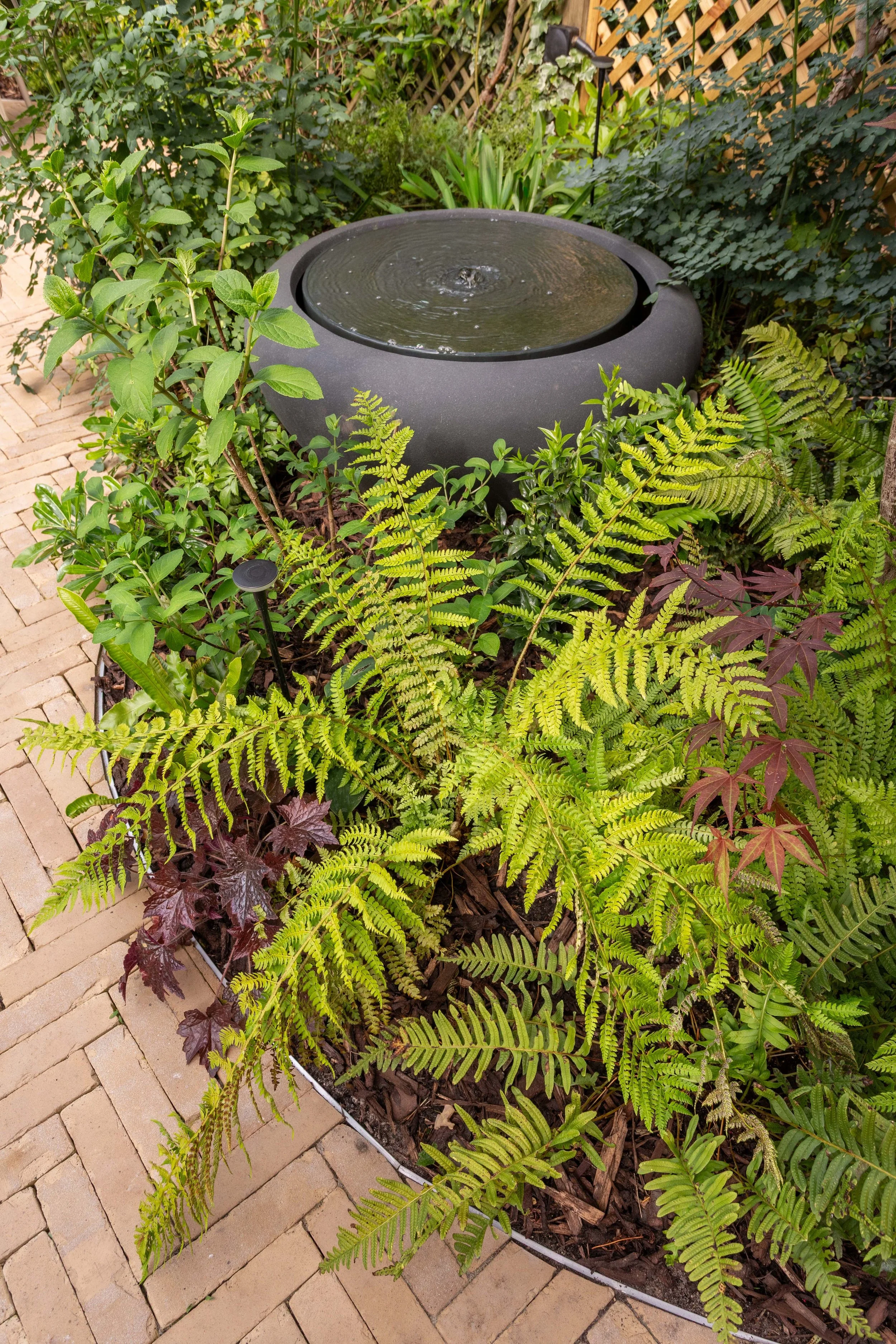 KCGDS_TheCalmGarden_3.jpg