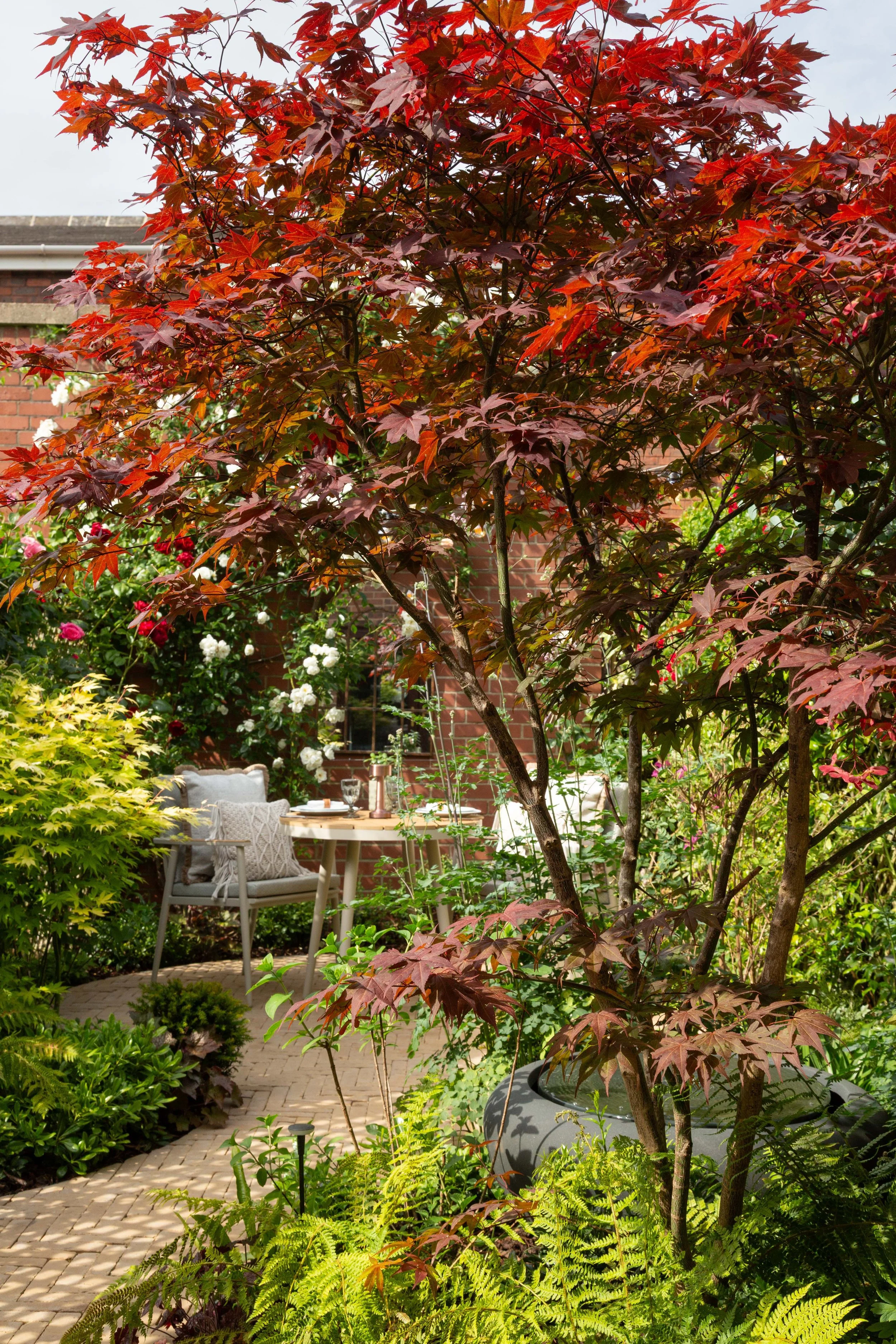 KCGDS_TheCalmGarden_7.jpg