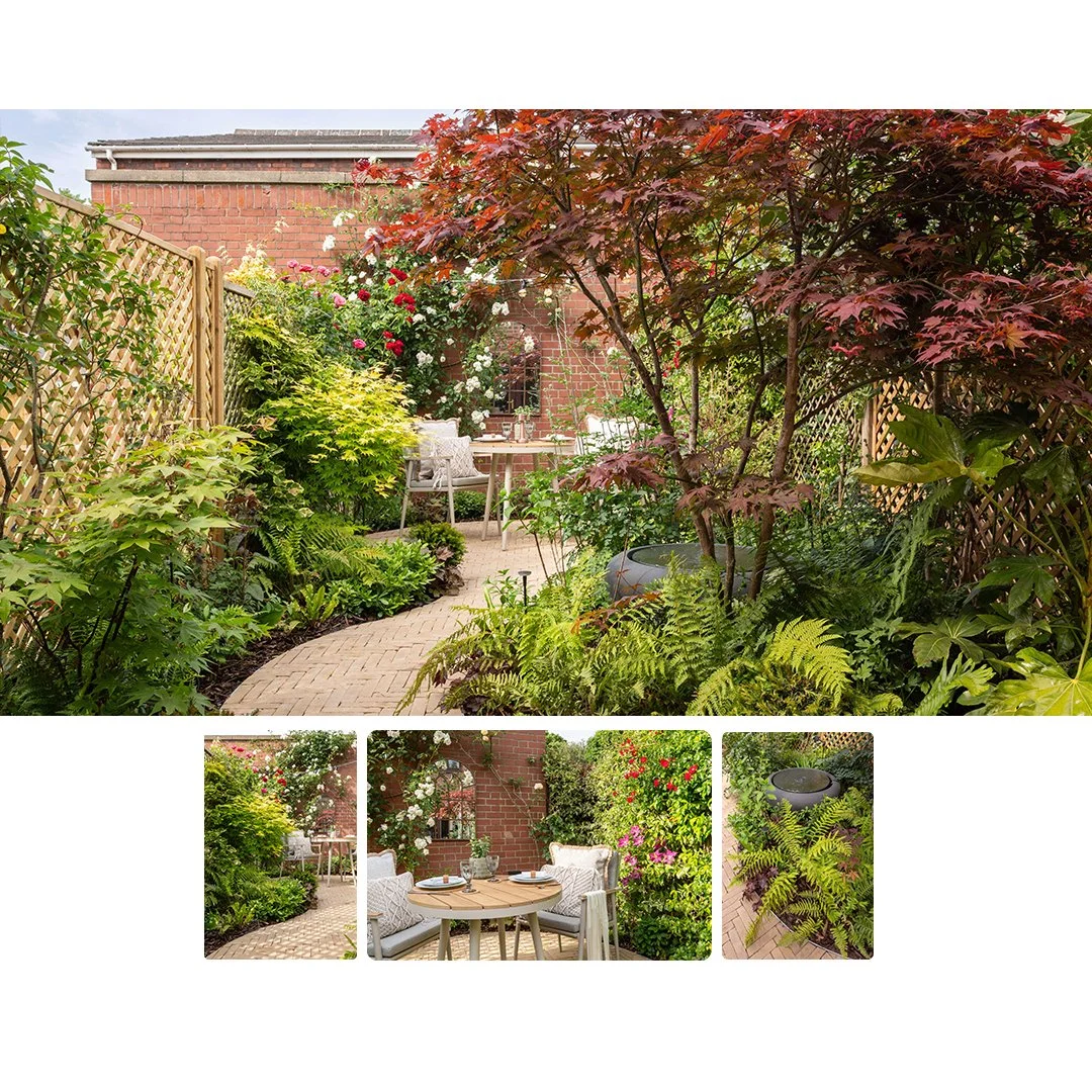 THE CALM GARDEN