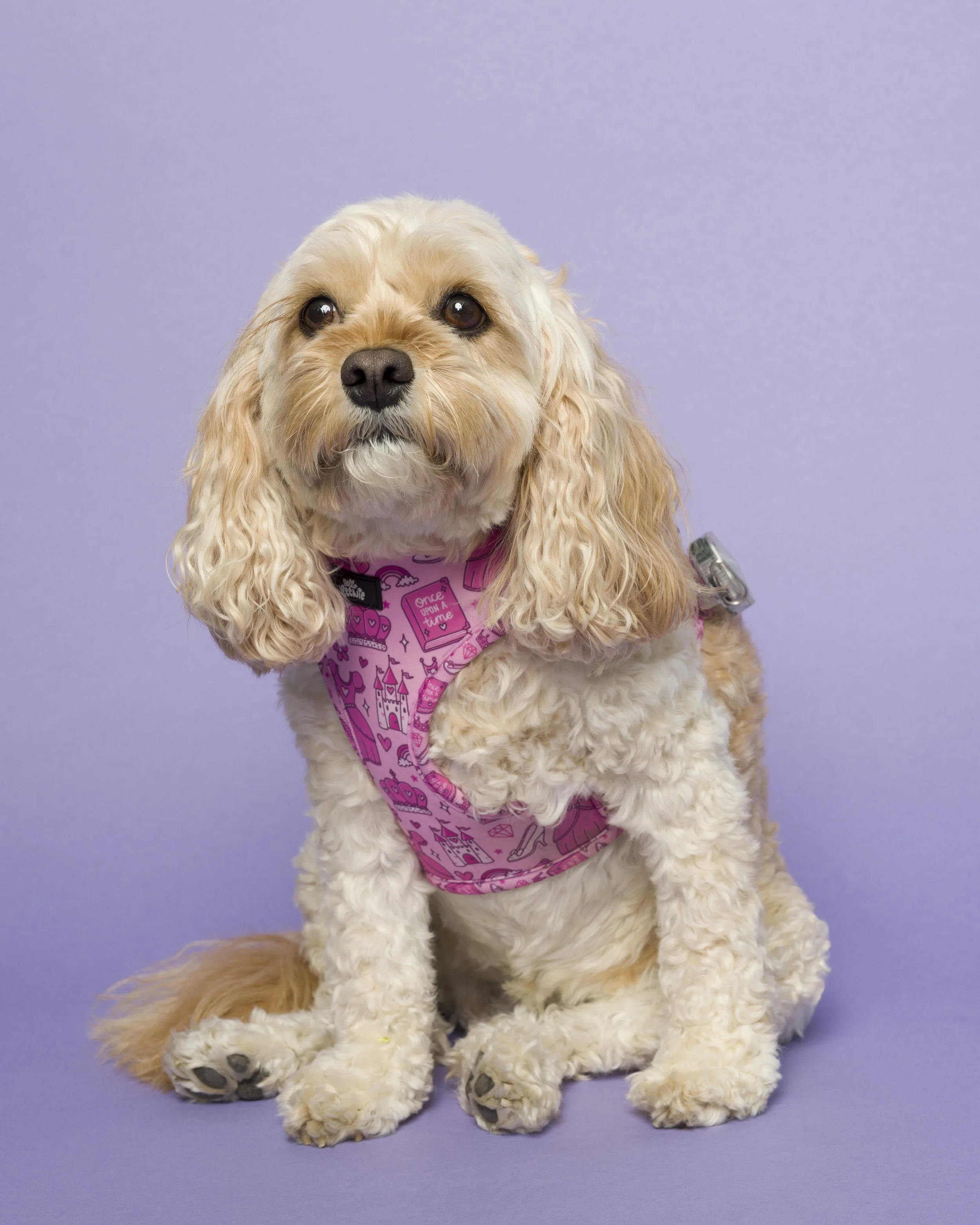 Layla
