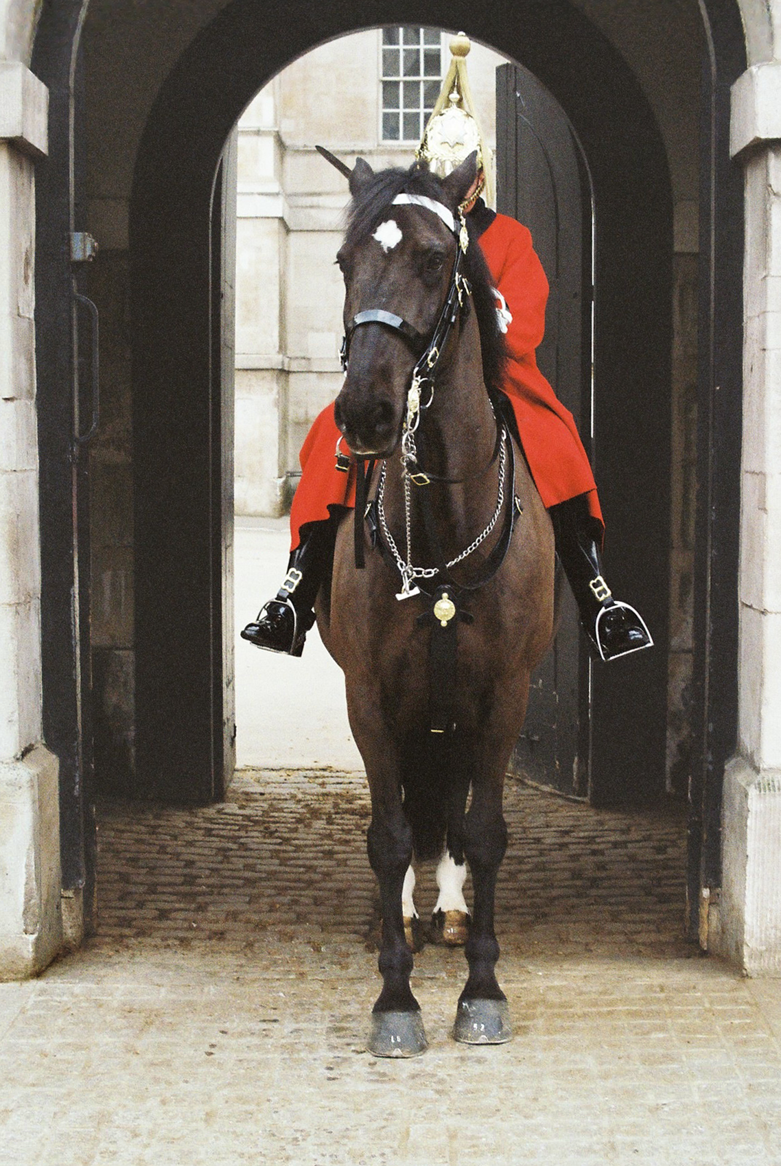 201101_elder_macedo_foex_sjoao_horse.jpg