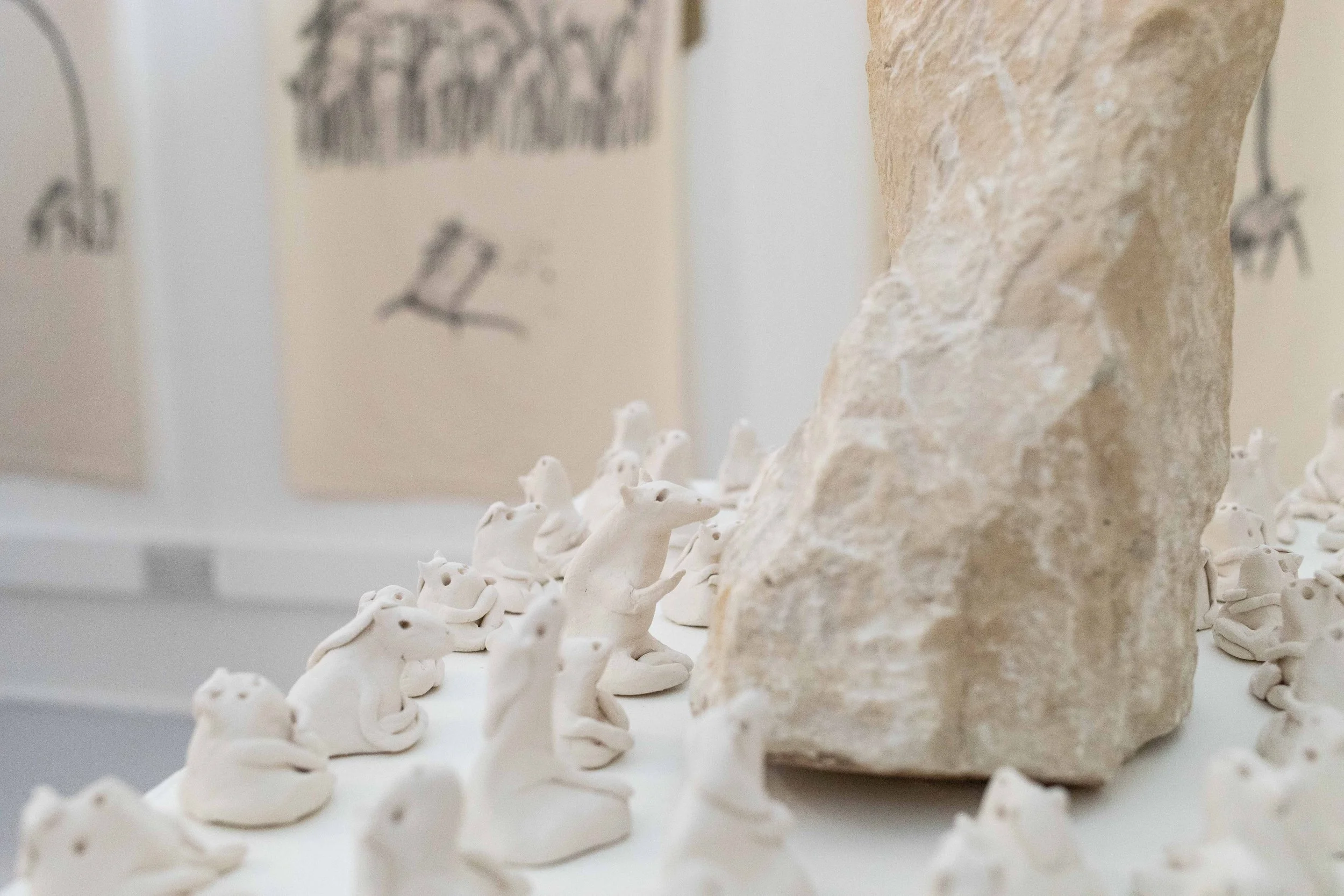 The Free Order Photos - Web-51.jpg