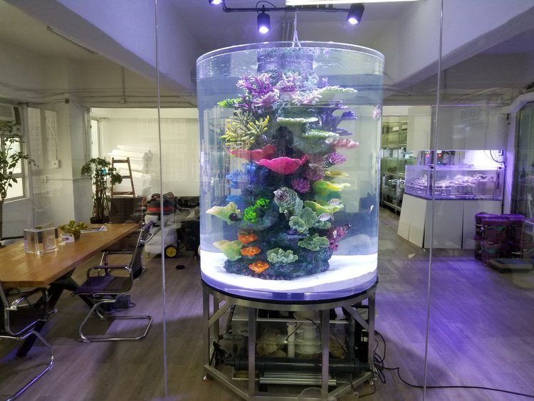 Custom-made Cylinder tank — Aquarium Design