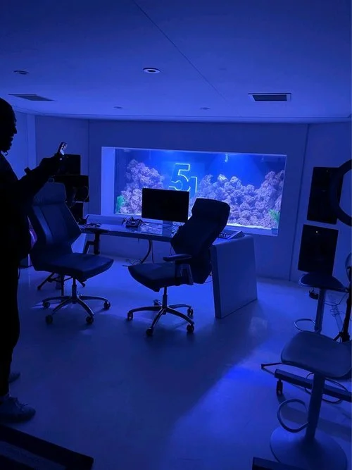 Photo inspiration: Curated Industrial Aquarium Design Gallery View 44