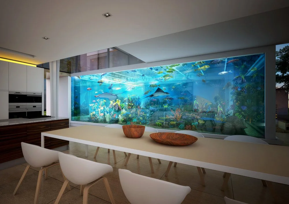 Picture of Glass Floor Aquarium Concept | Luxury Private Aquariums by RedFin ...