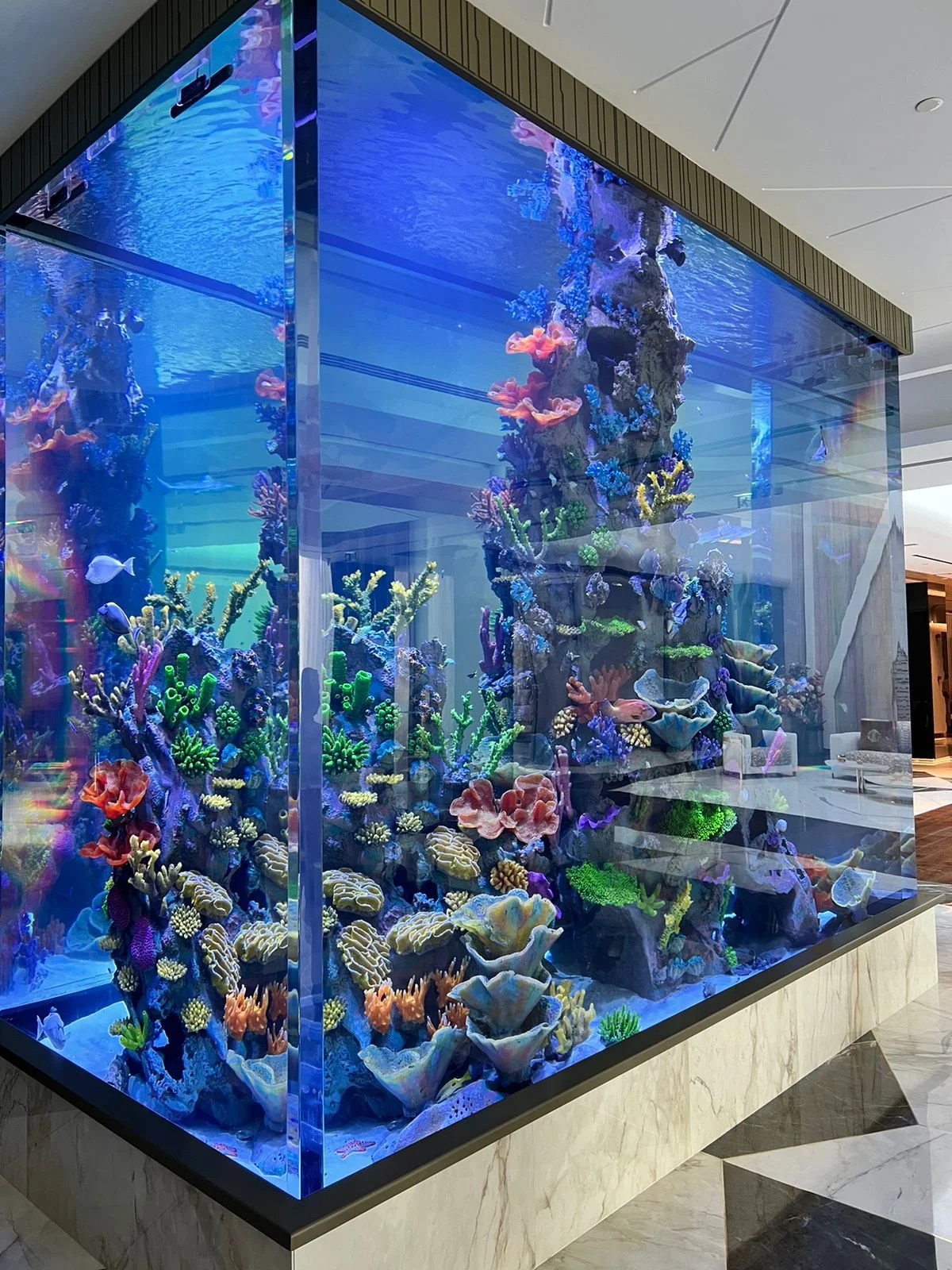 Custom Luxury Aquariums in Dubai