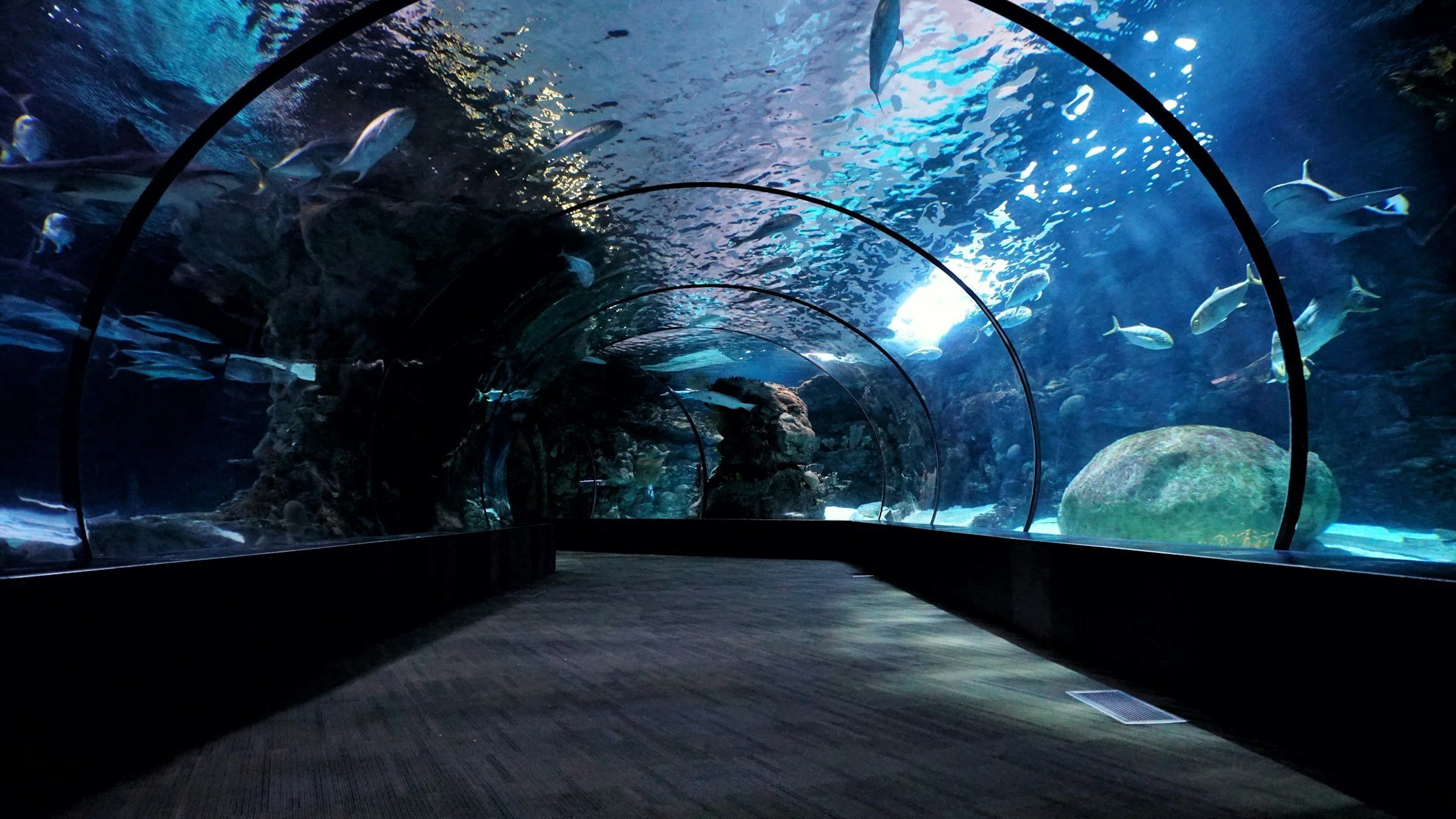 Dive into Luxury: Designing Underwater Hotels, Restaurants, and Experiences