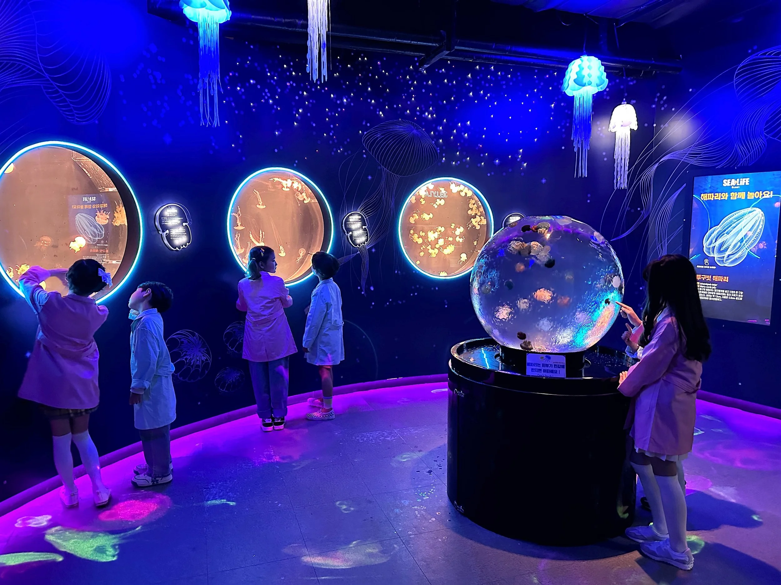 Inside the SEA LIFE COEX Upgrade: A Technical Journey from Design to Delivery