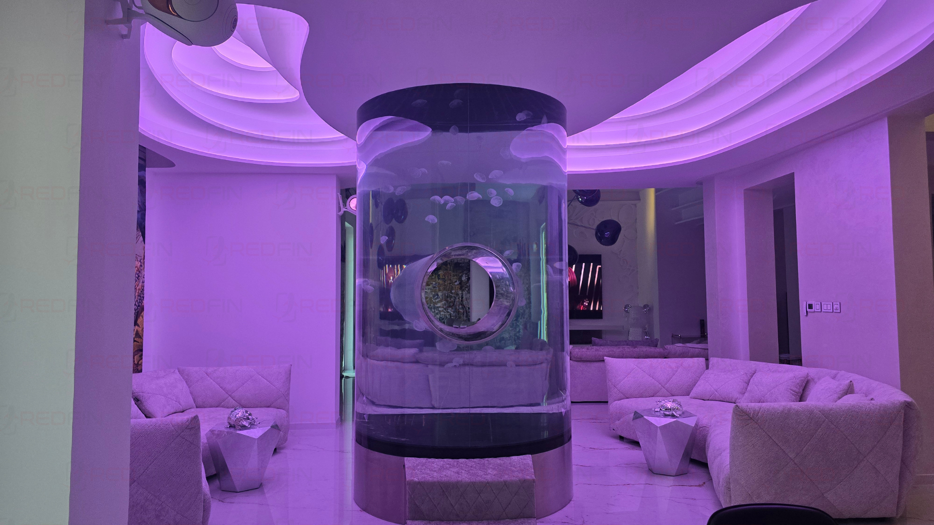 Lighting Effects That Transform an Aquarium at Night