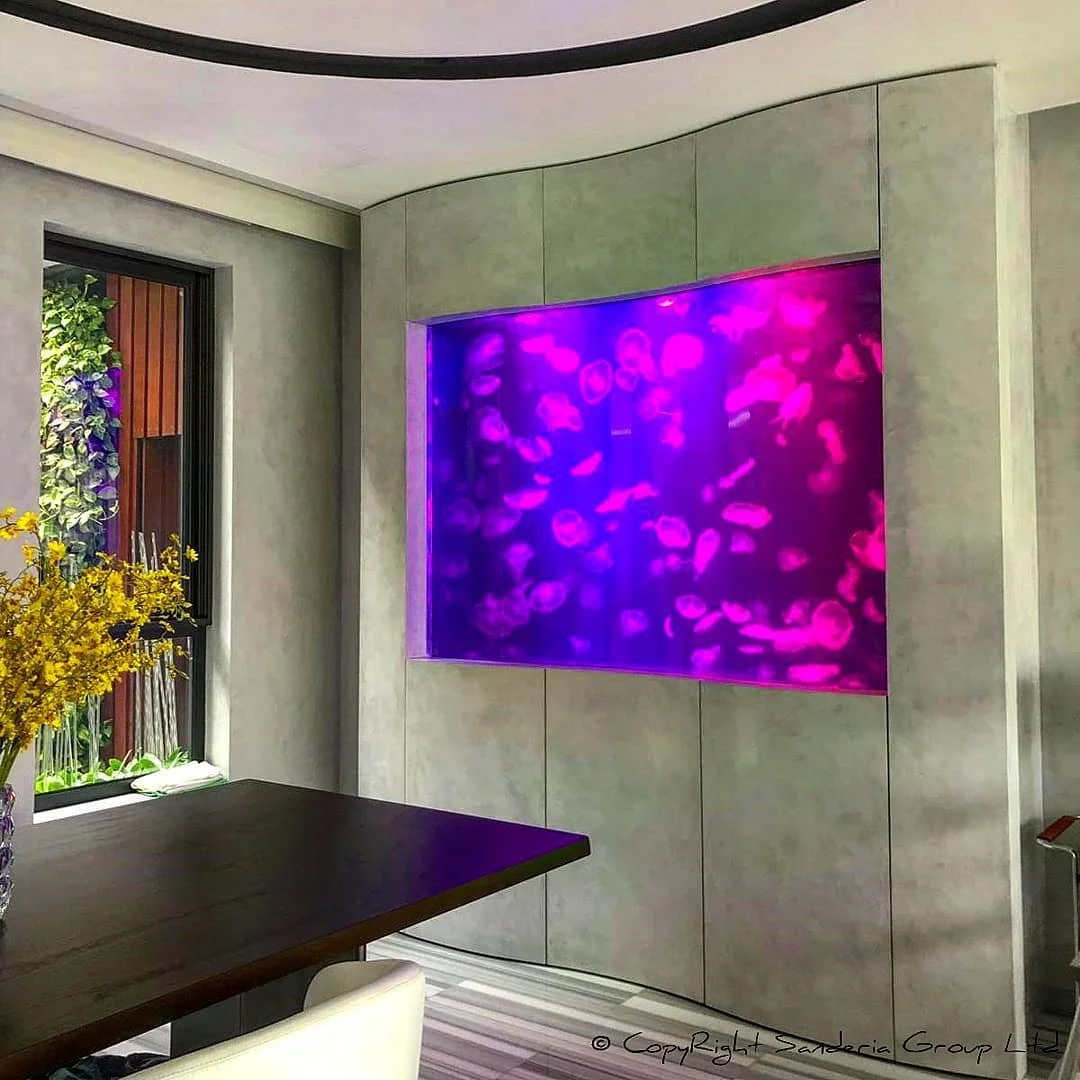 Jellyfish Aquariums Explained: How Kreisel Systems Are Designed