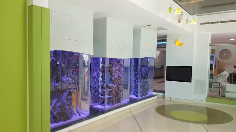 Curated visual reference: Industrial Aquarium Design Reference: Commercial Aquarium Projects