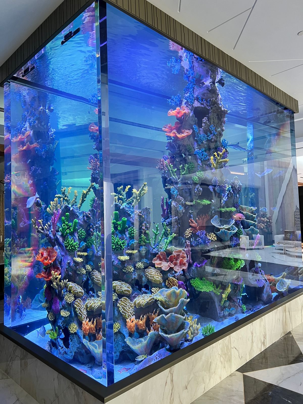 Image showcasing Bespoke Residential Aquariums — RedFin Aquarium Design