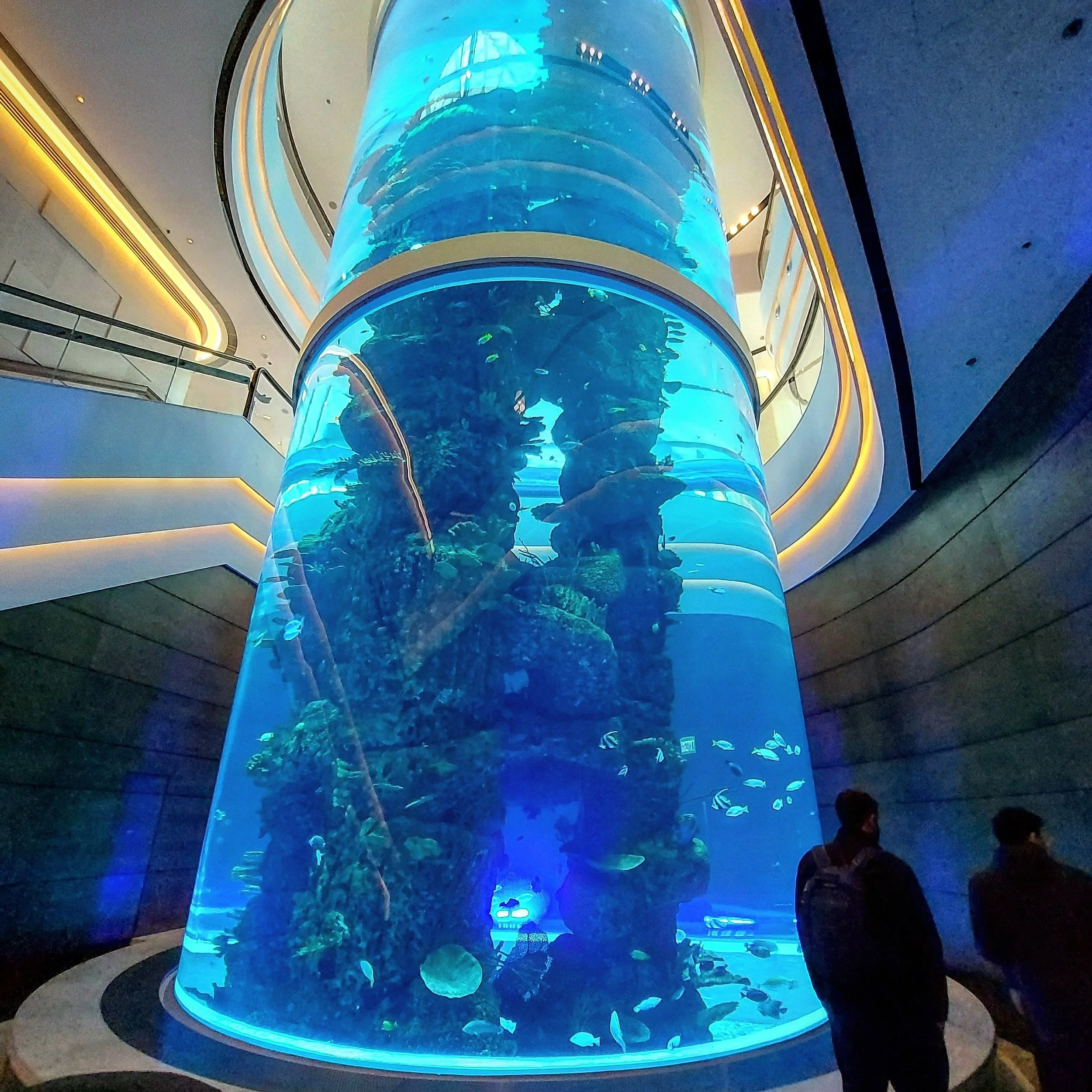 Commercial aquarium maintenance at Marriott Ocean Park