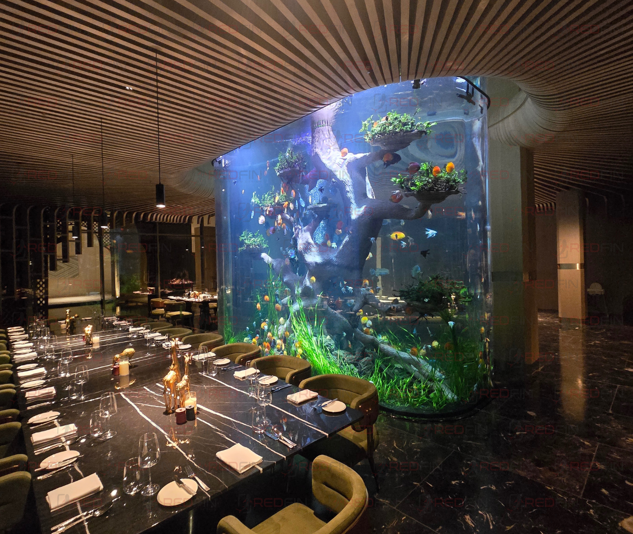 RedFin Aquarium Design flagship project