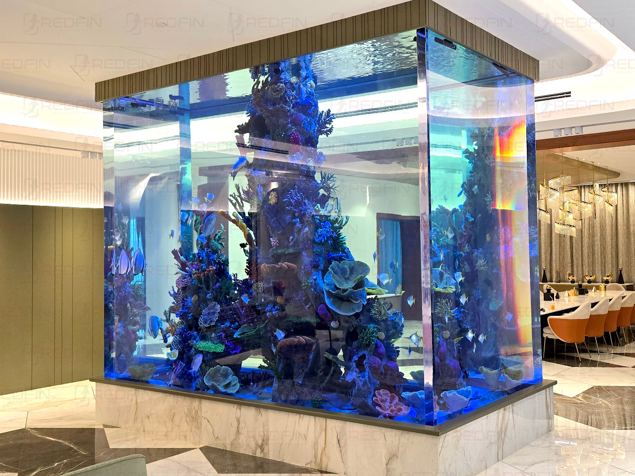 Large custom aquarium
