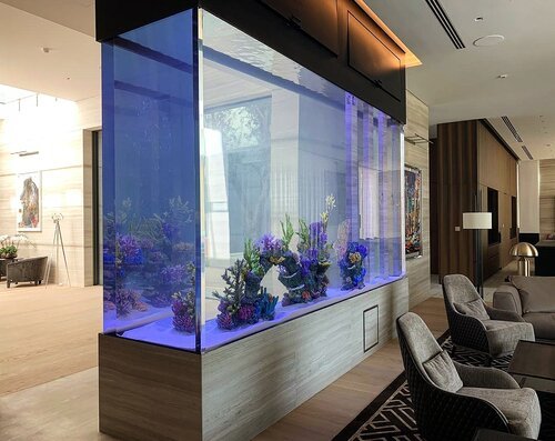 Custom Large Fish Tank Good Glass Aquarium Far Superior to Acrylic