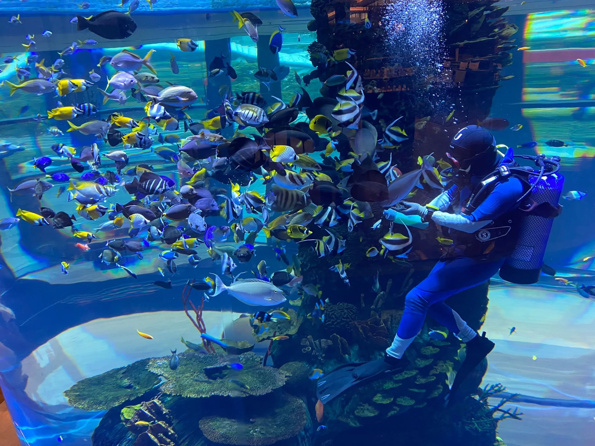 23a297fd-692f-4335-803a-7478ab22407e.jfif