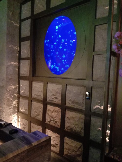 Commercial Aquarium Projects — RedFin Aquarium Design